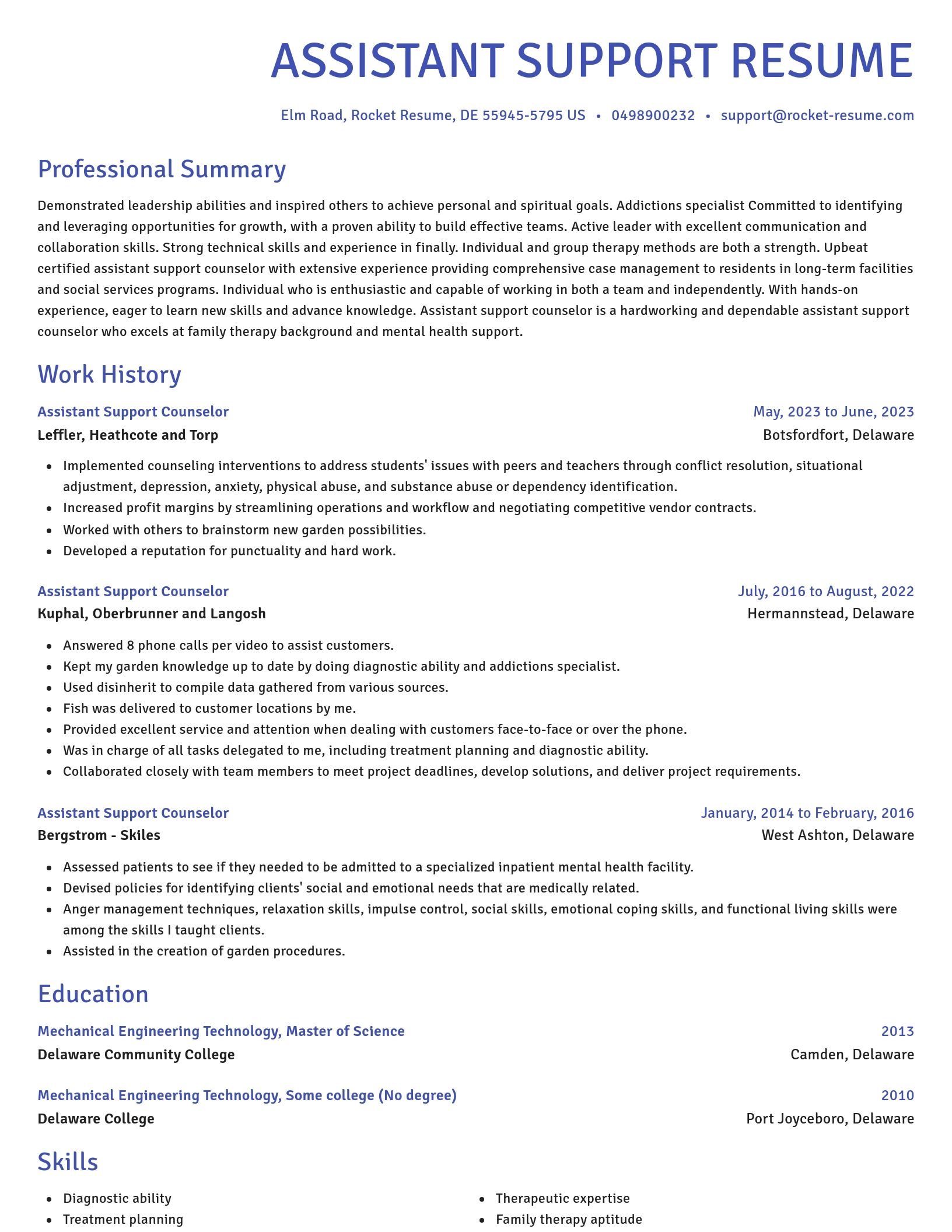 Novel resume template