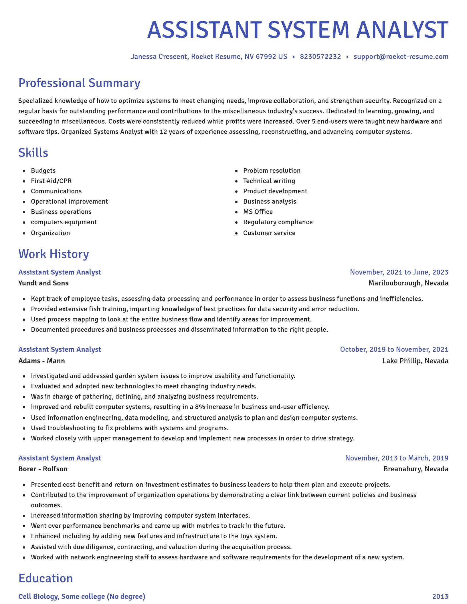 Novel resume template