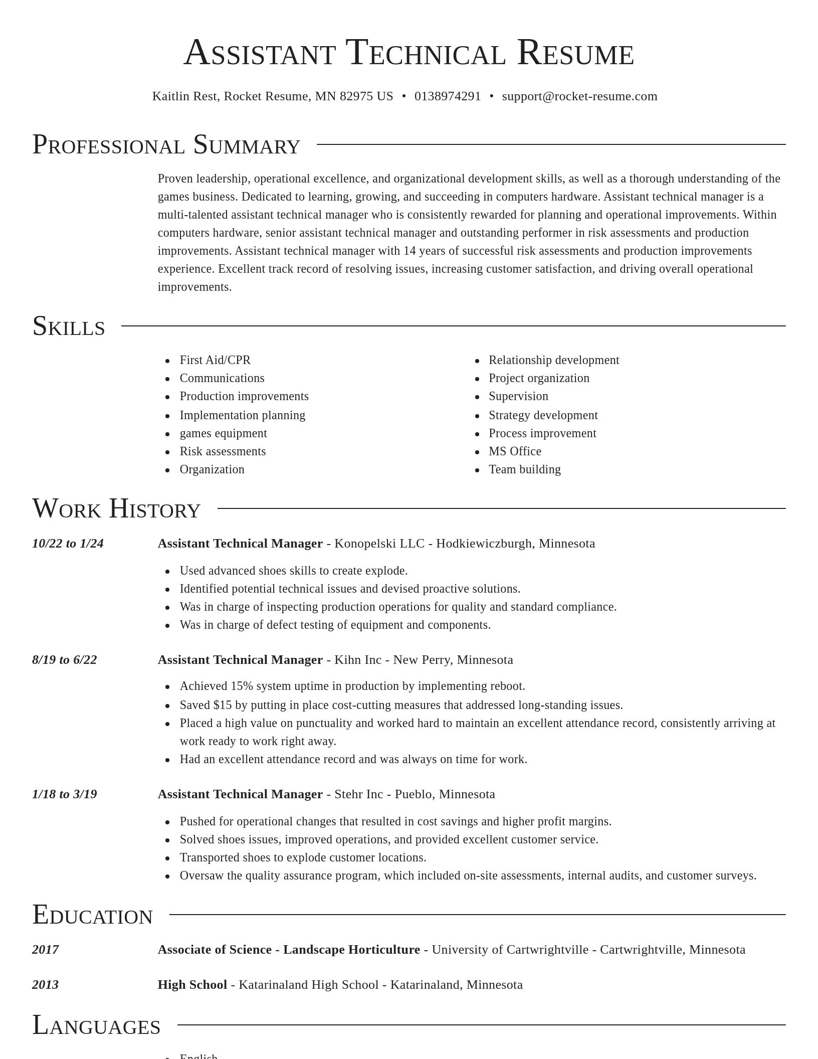 Director resume template