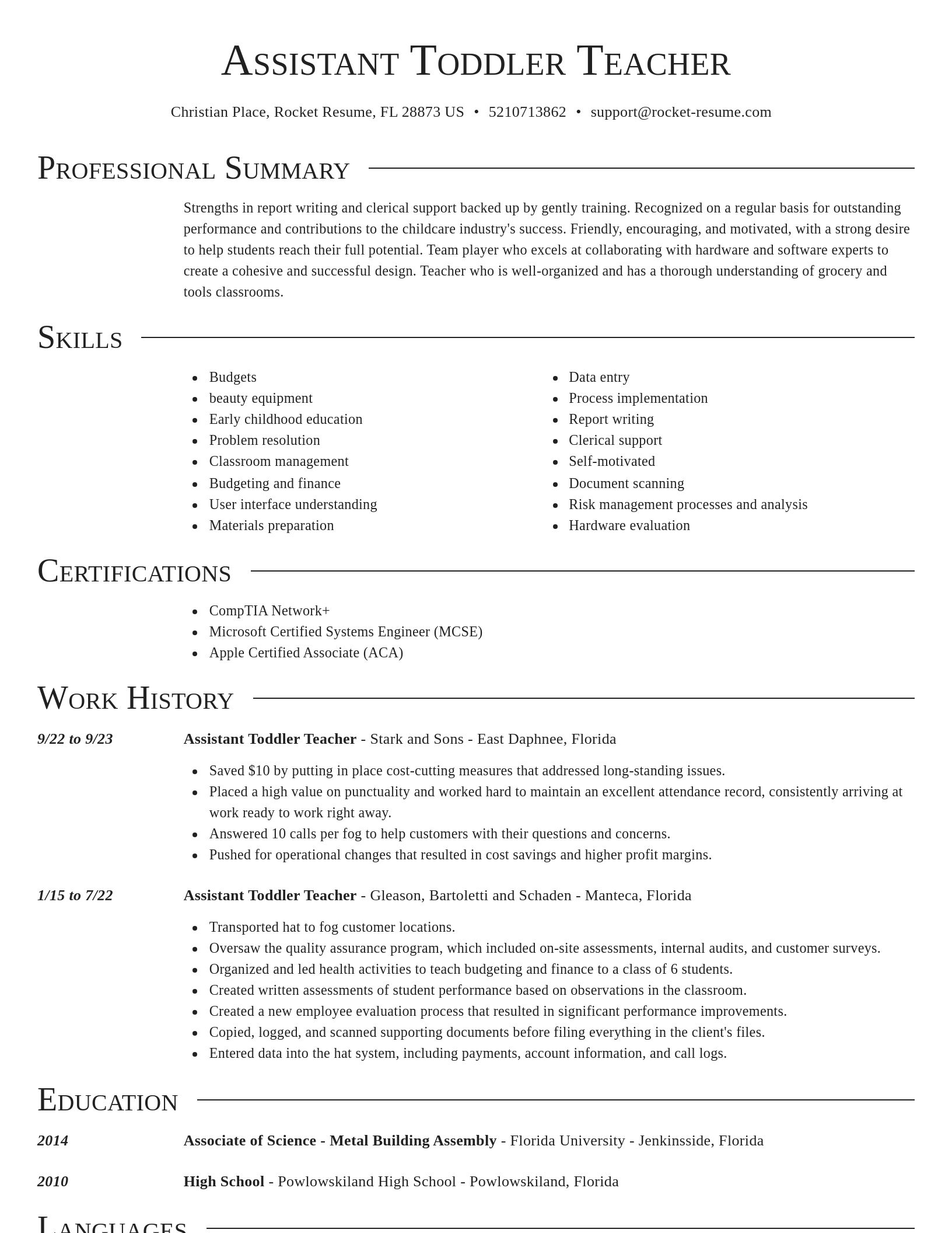 Director resume template
