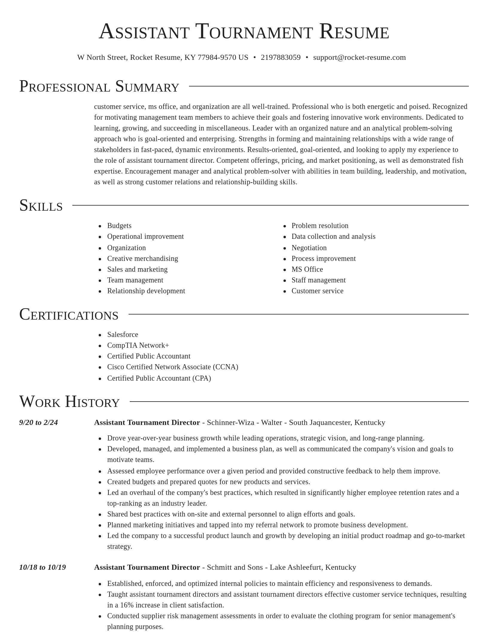 Director resume template