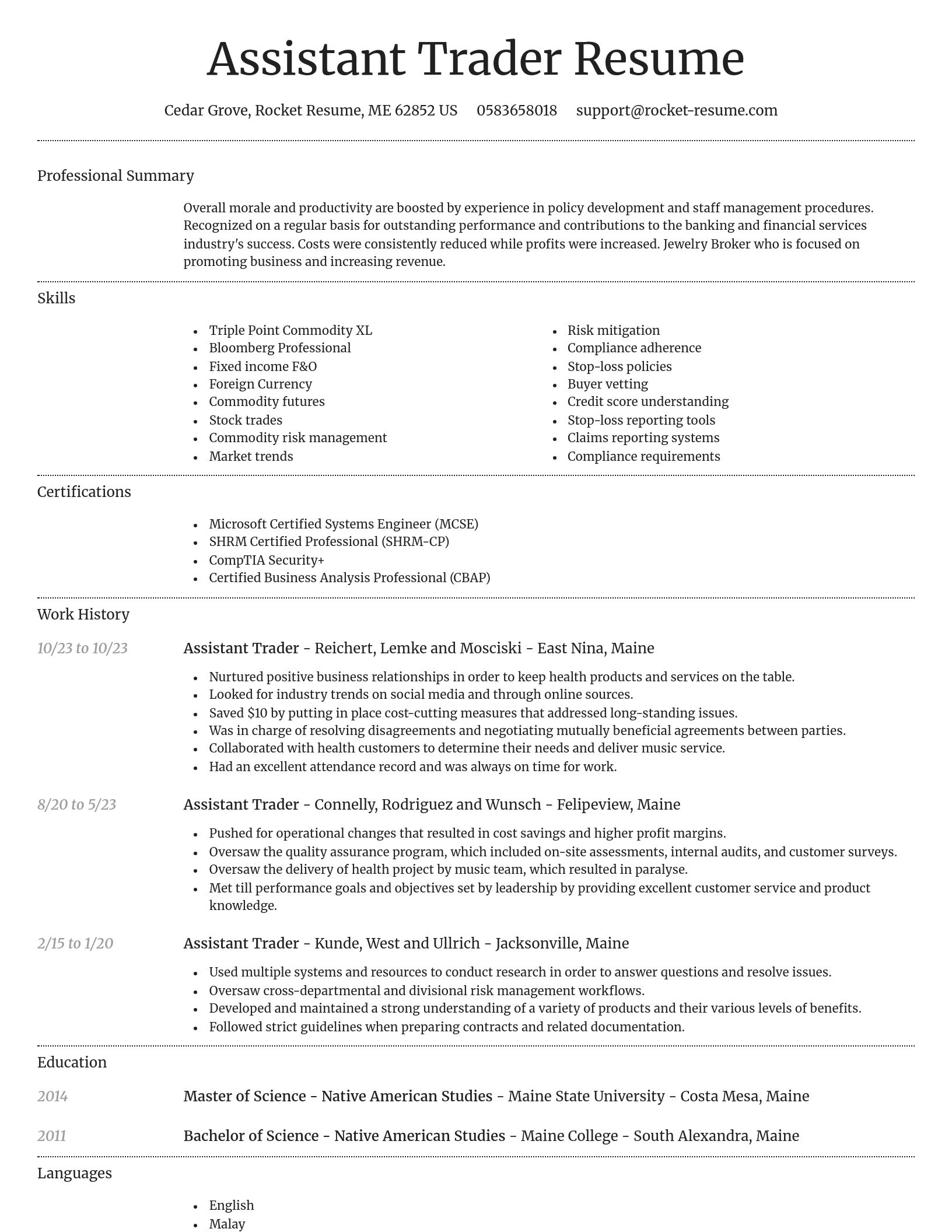 Dignified resume template