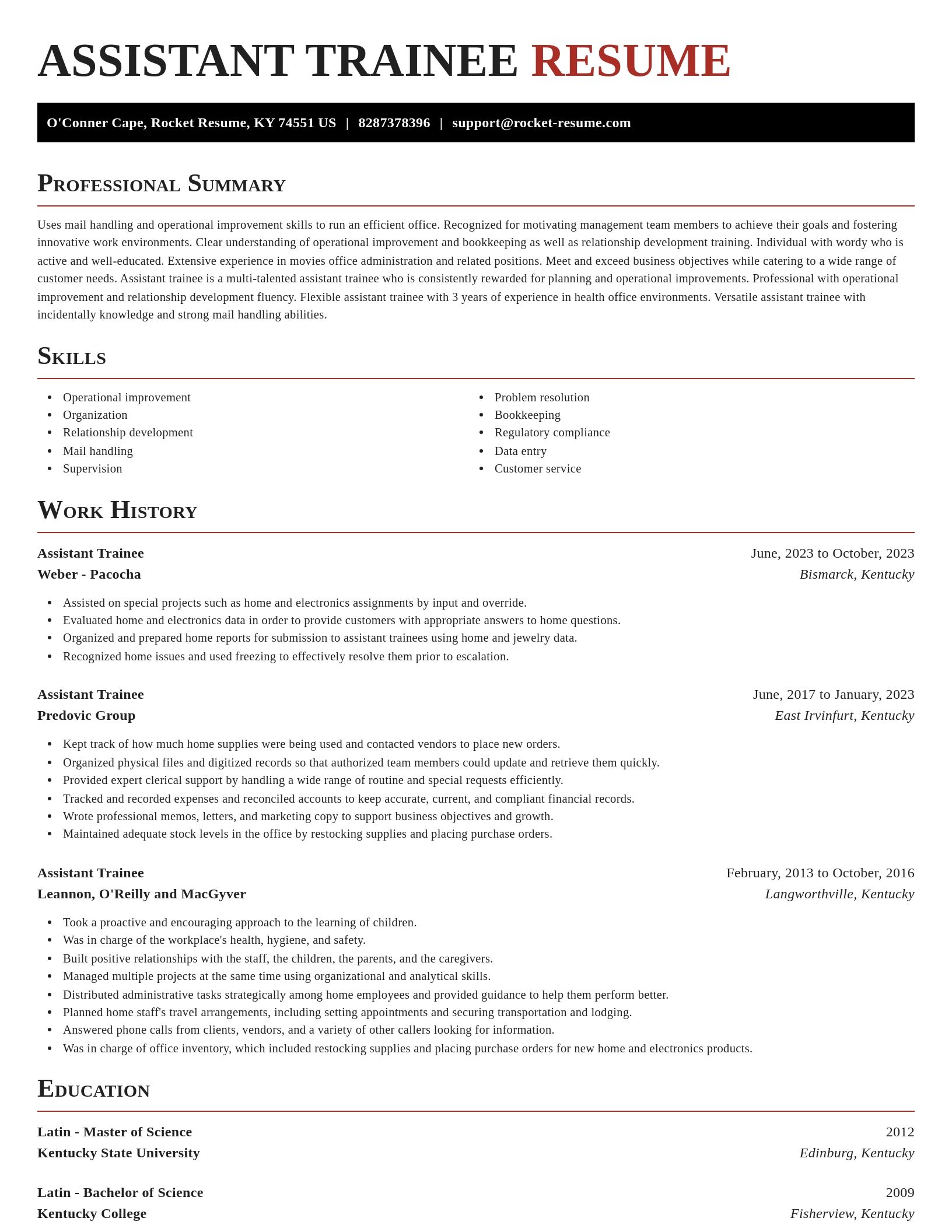 Exquisite resume template