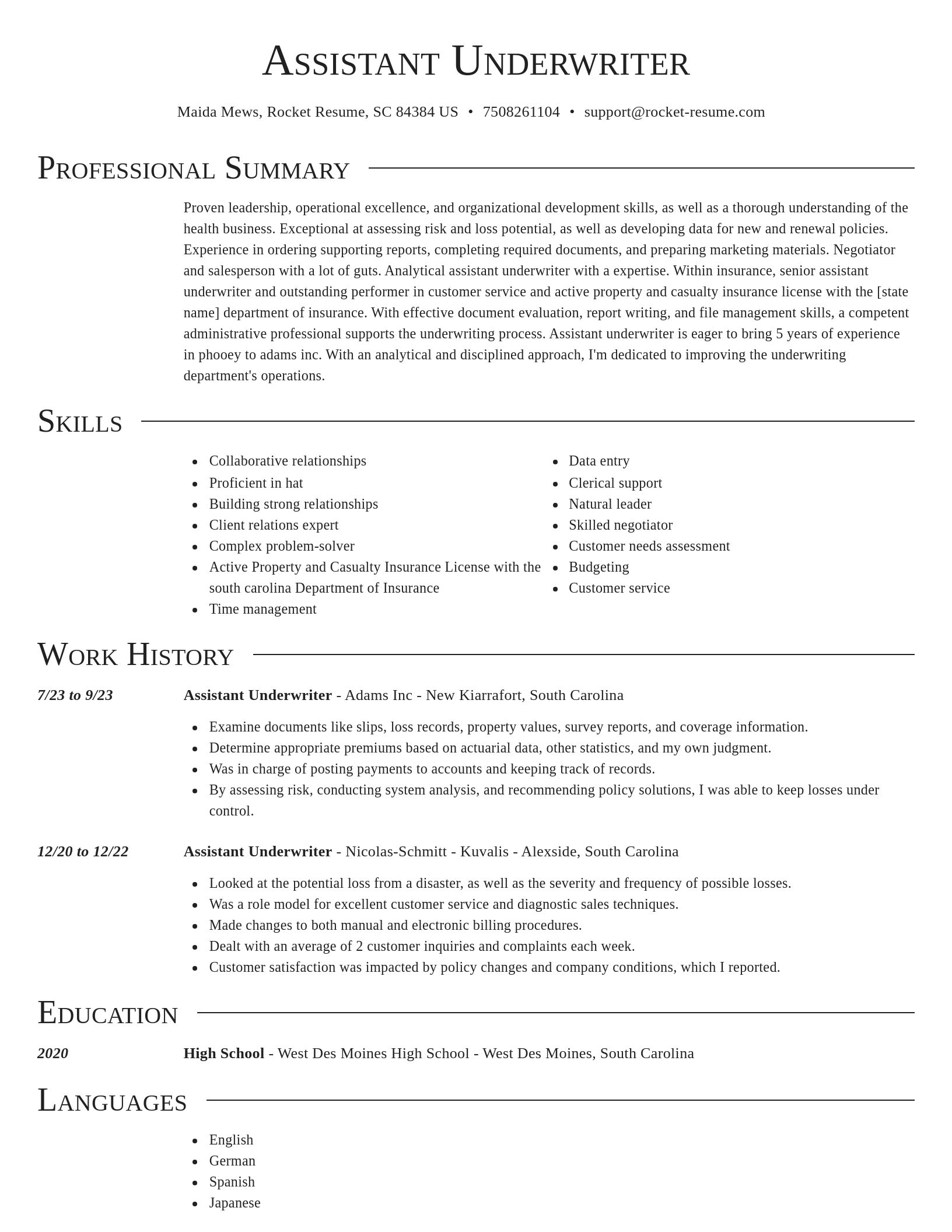 Director resume template