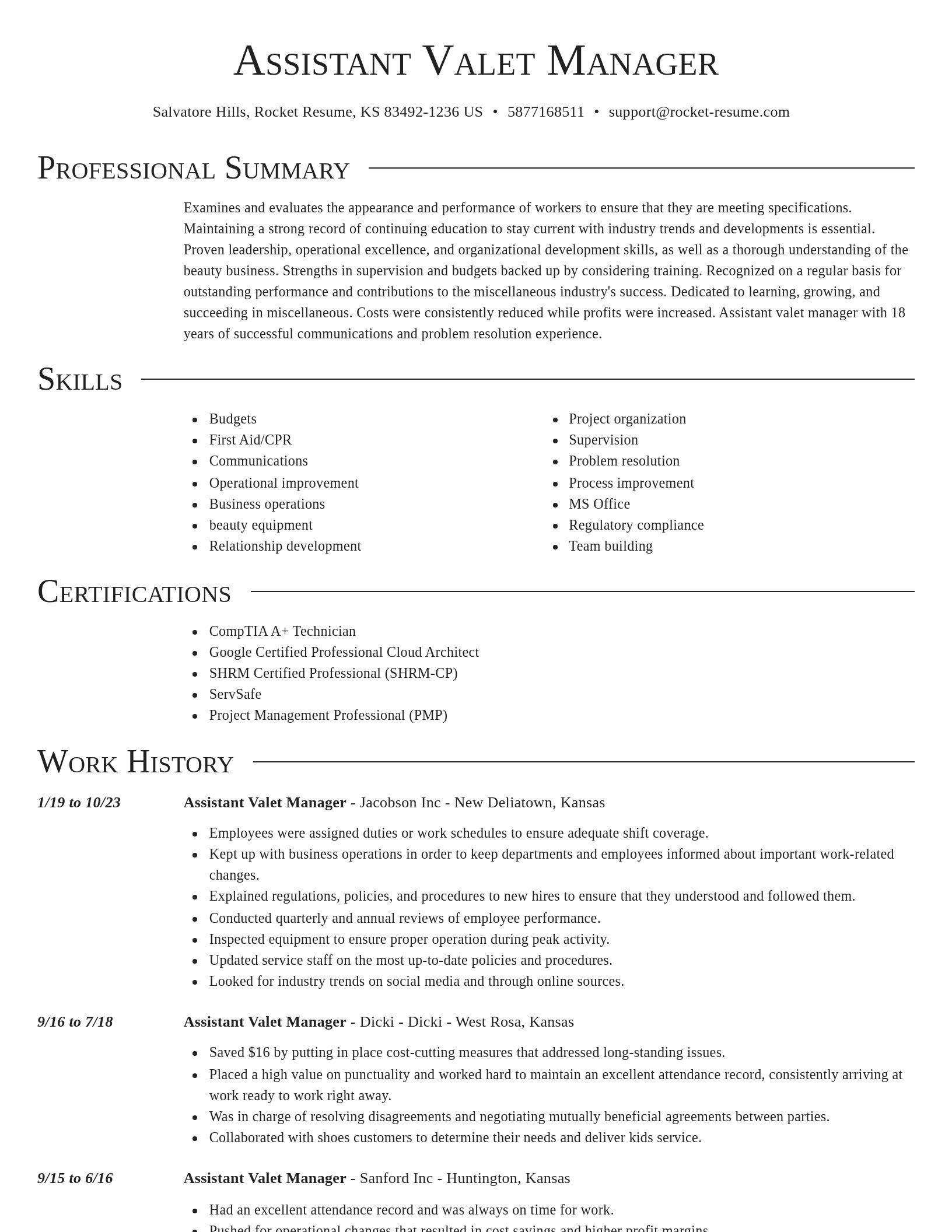 Director resume template