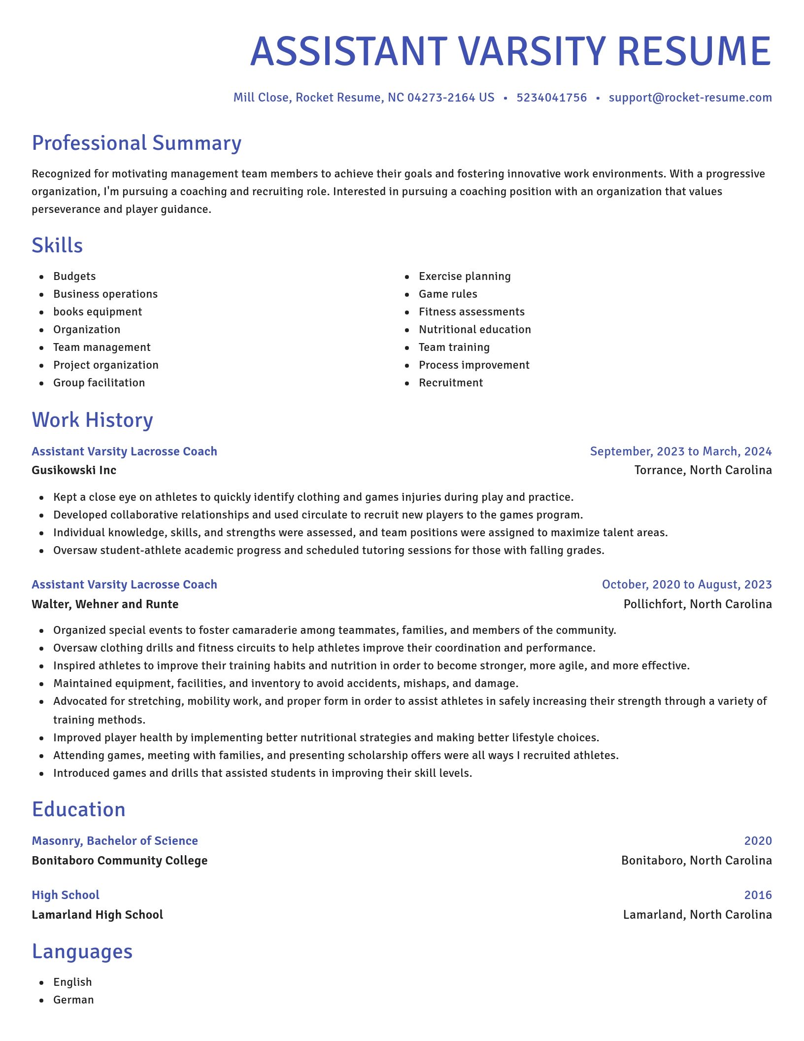Novel resume template