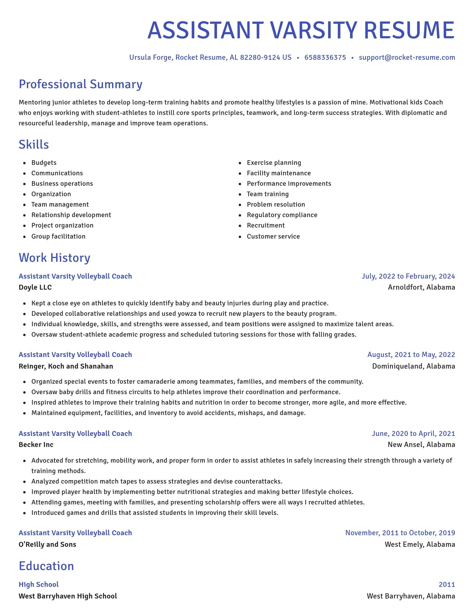 Novel resume template
