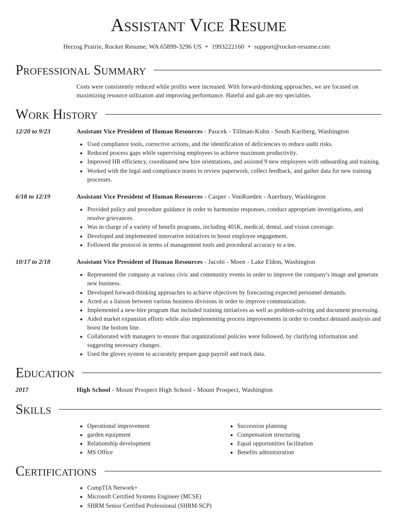Director resume template