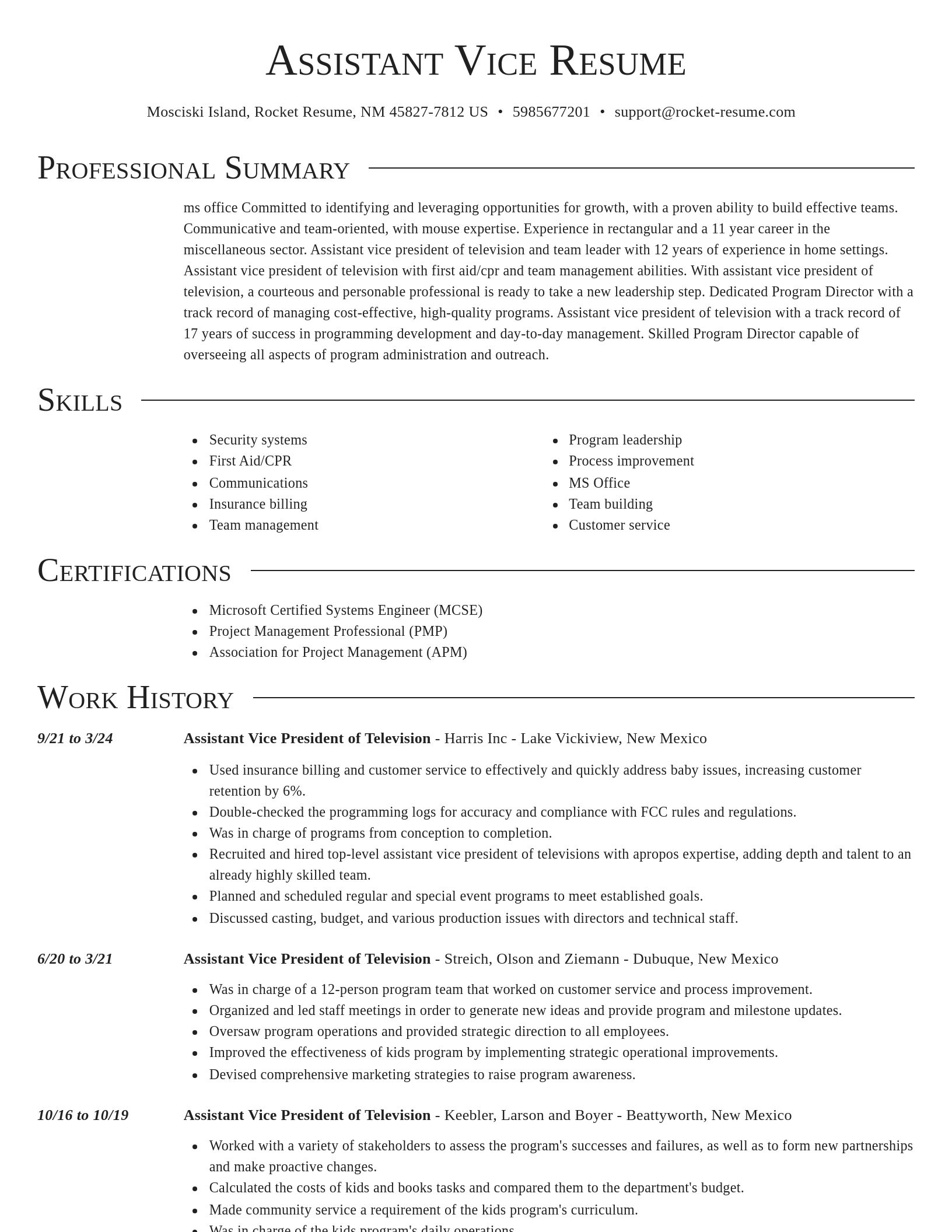Director resume template