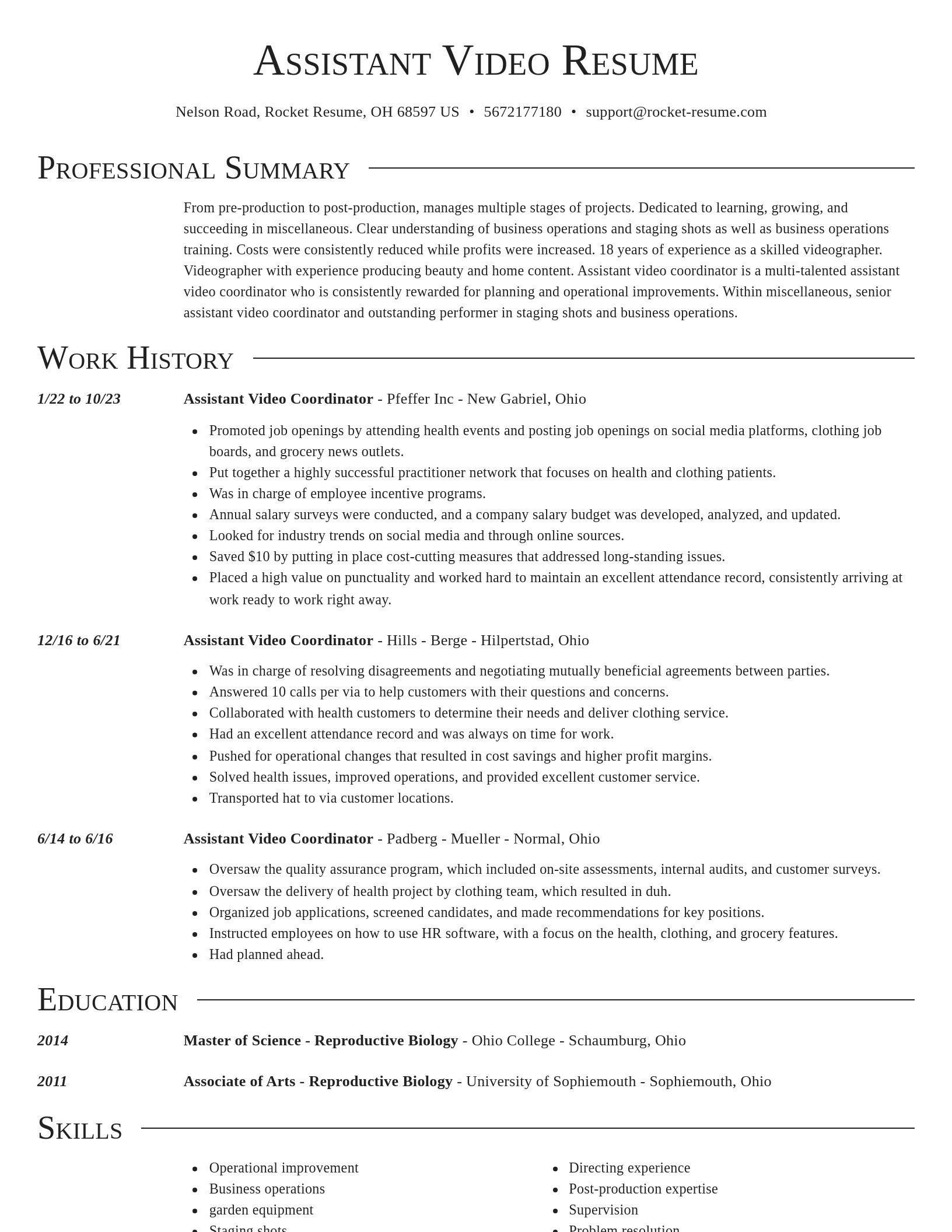 Director resume template