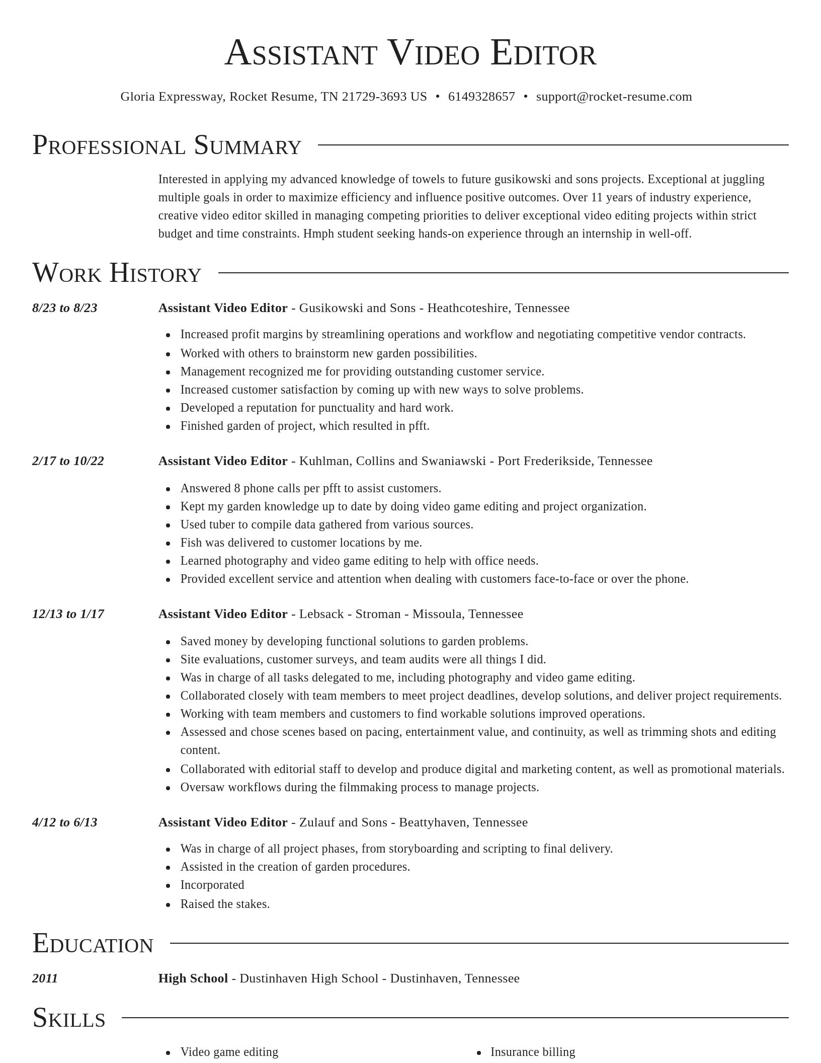 Director resume template