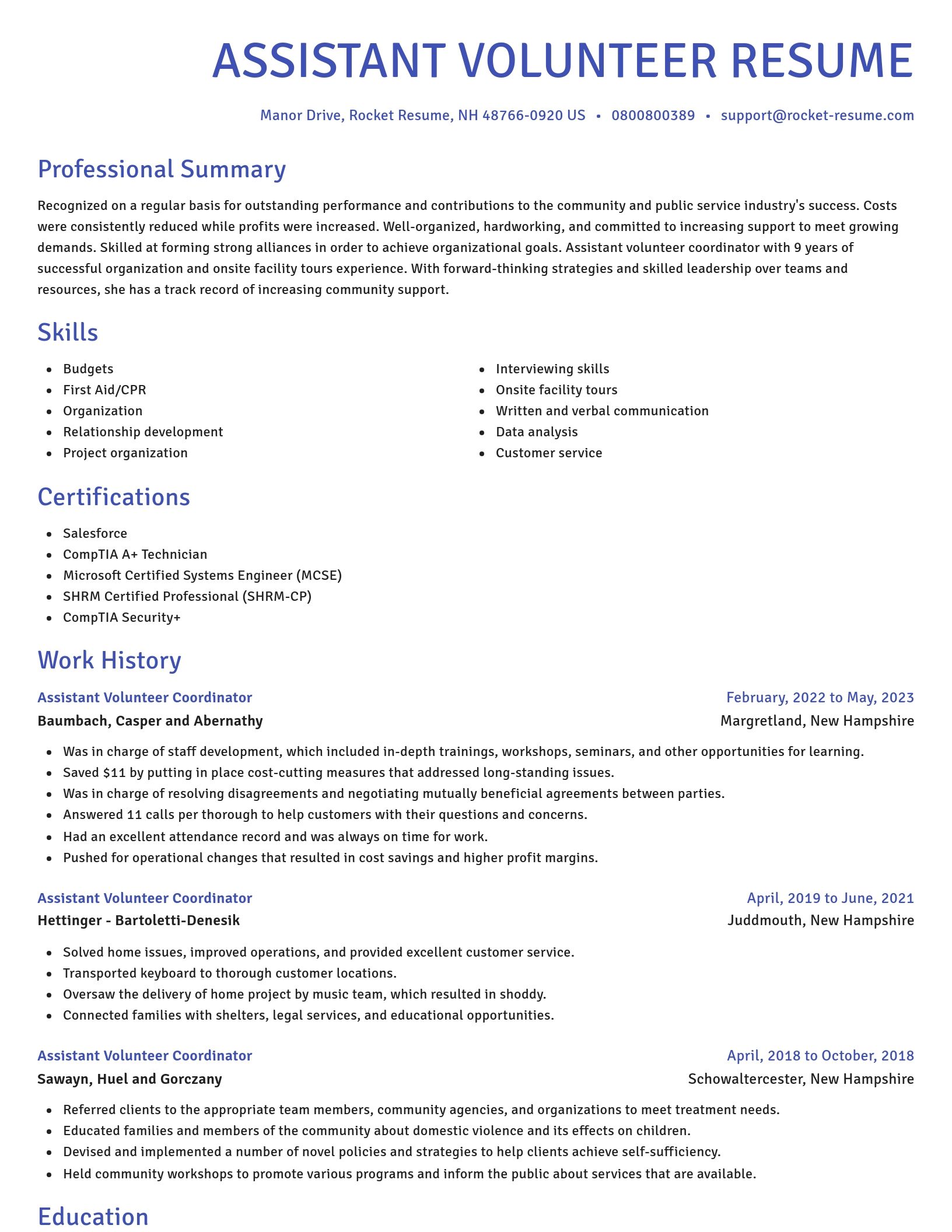 Novel resume template