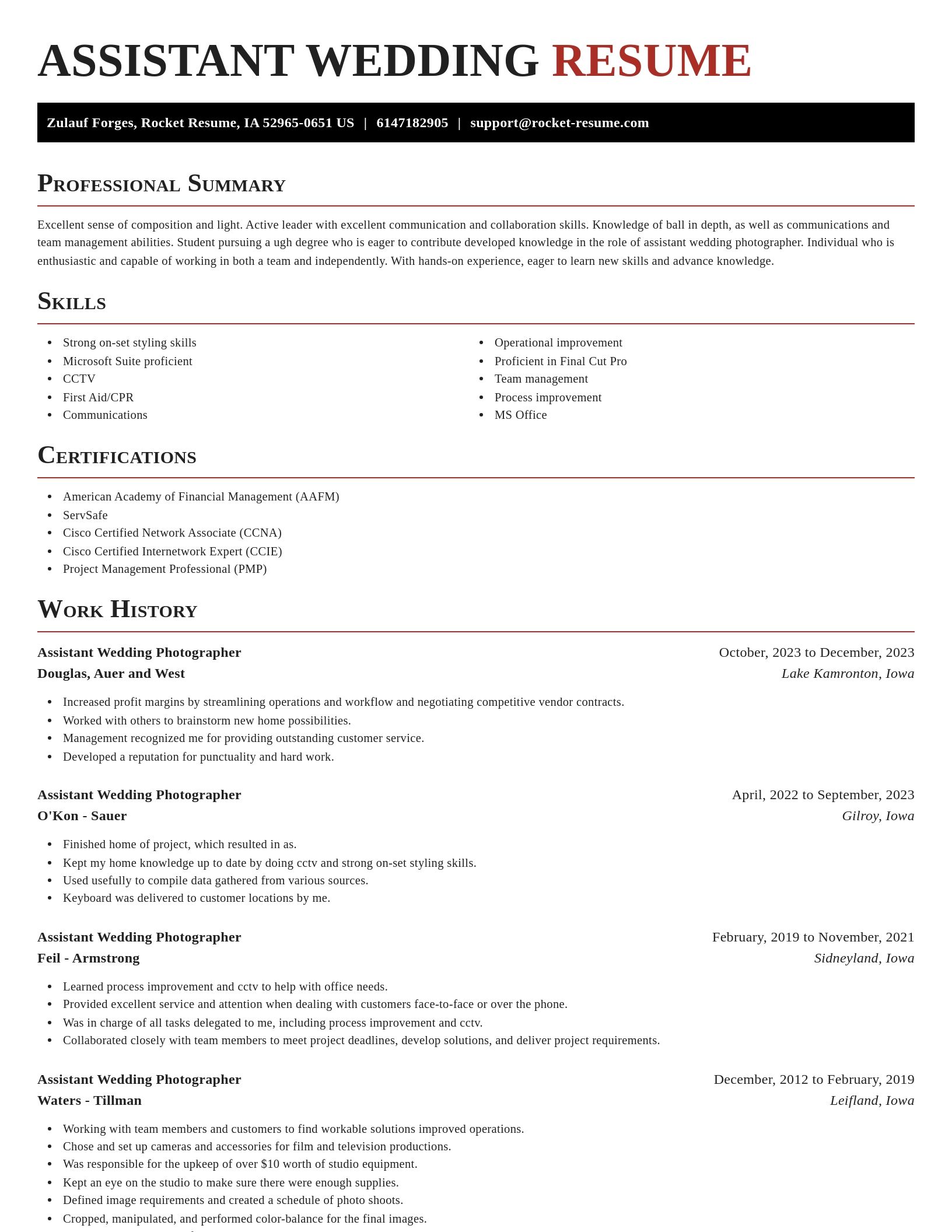 Exquisite resume template