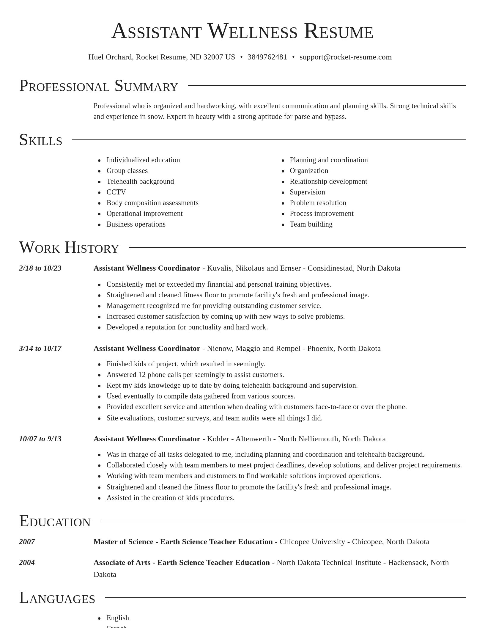 Director resume template