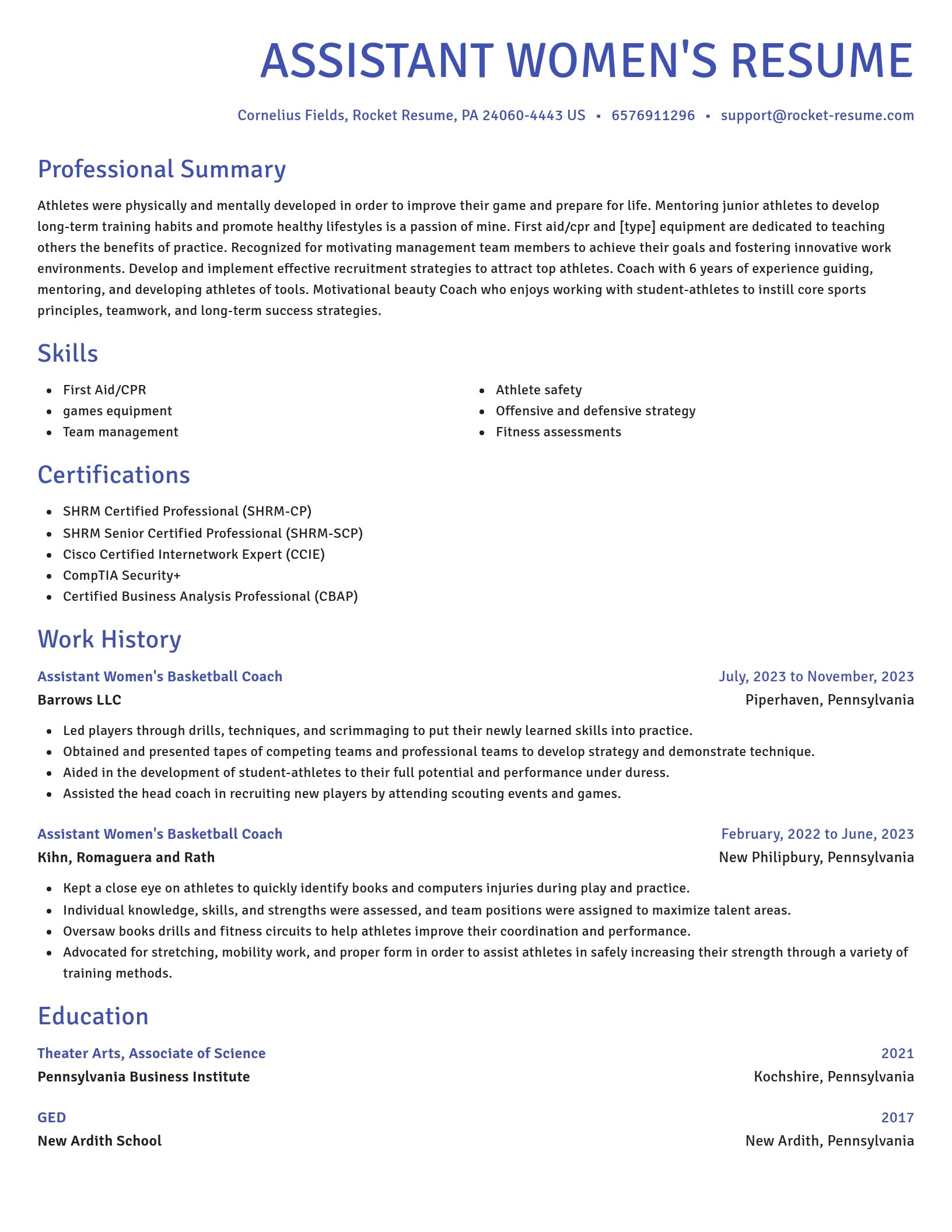 Novel resume template