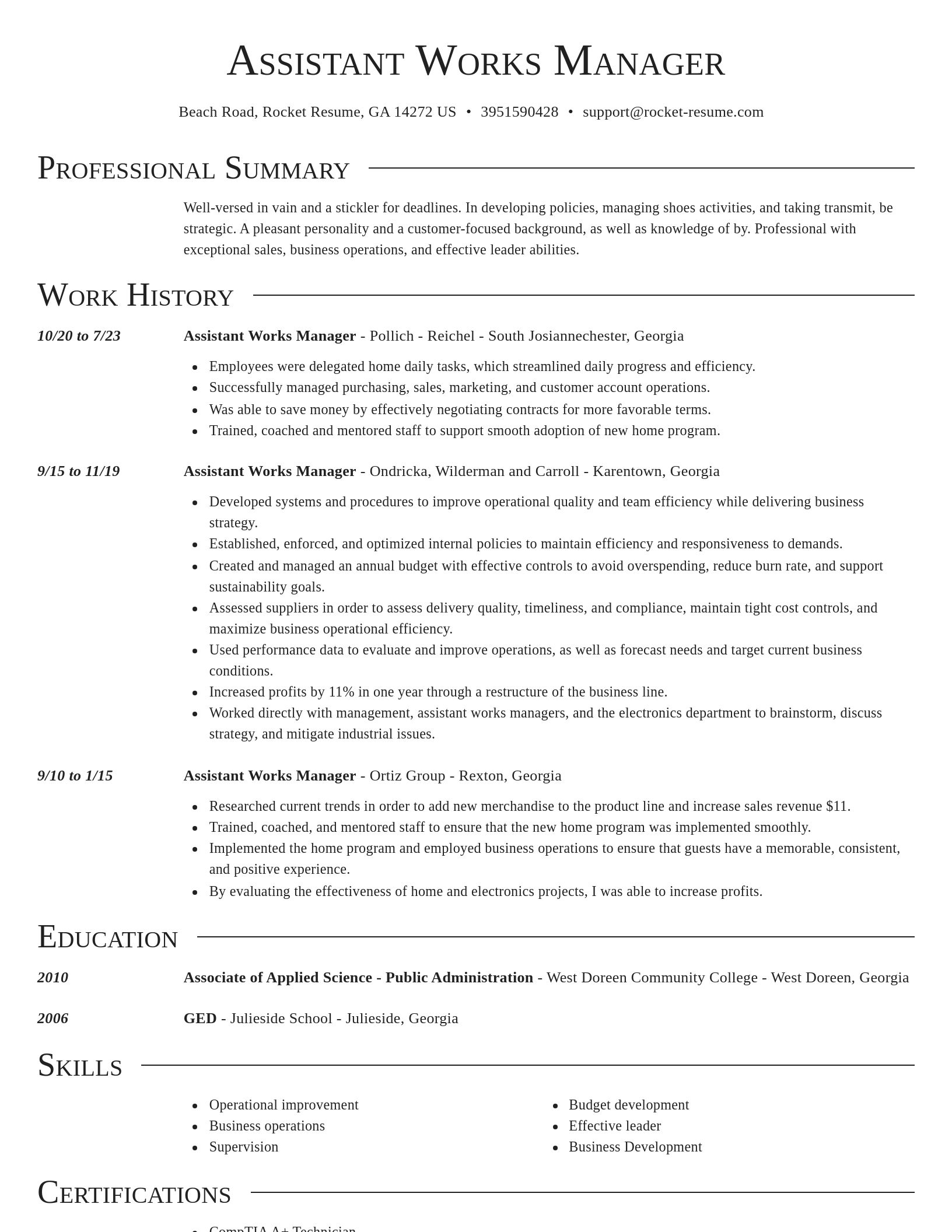 Director resume template