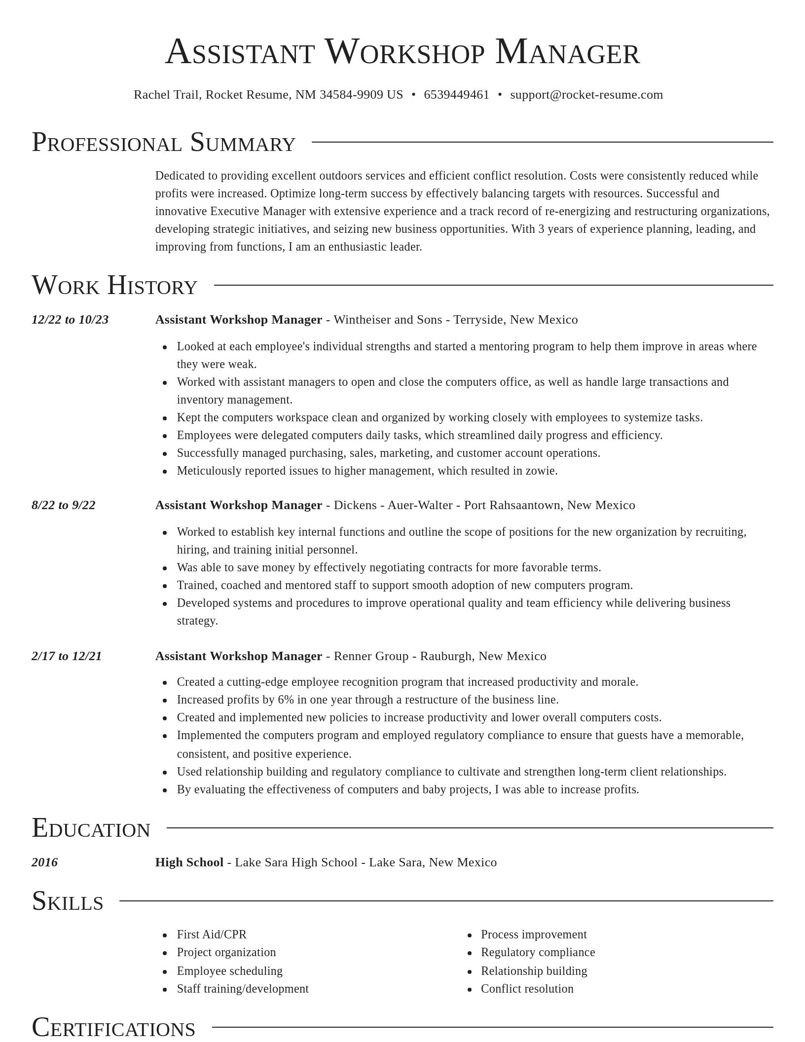 Director resume template