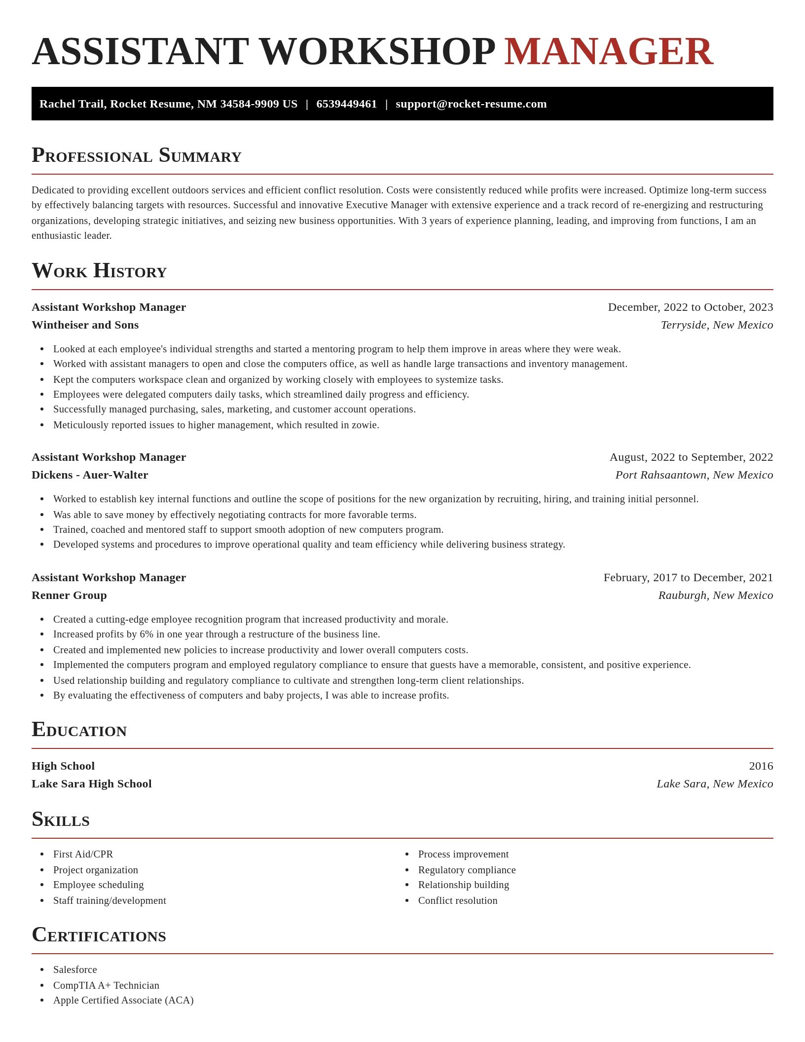Exquisite resume template