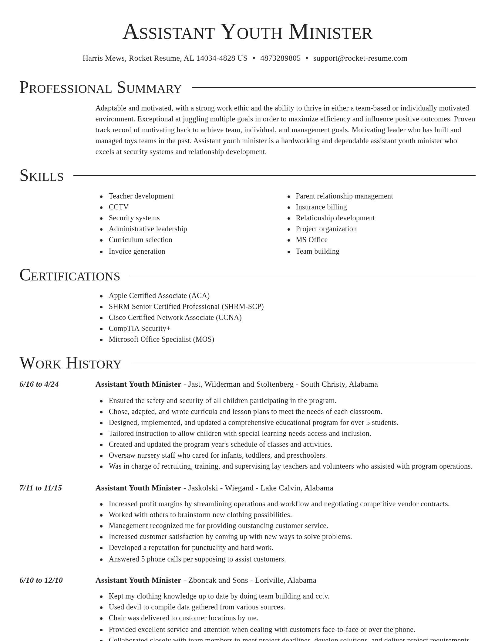 Director resume template