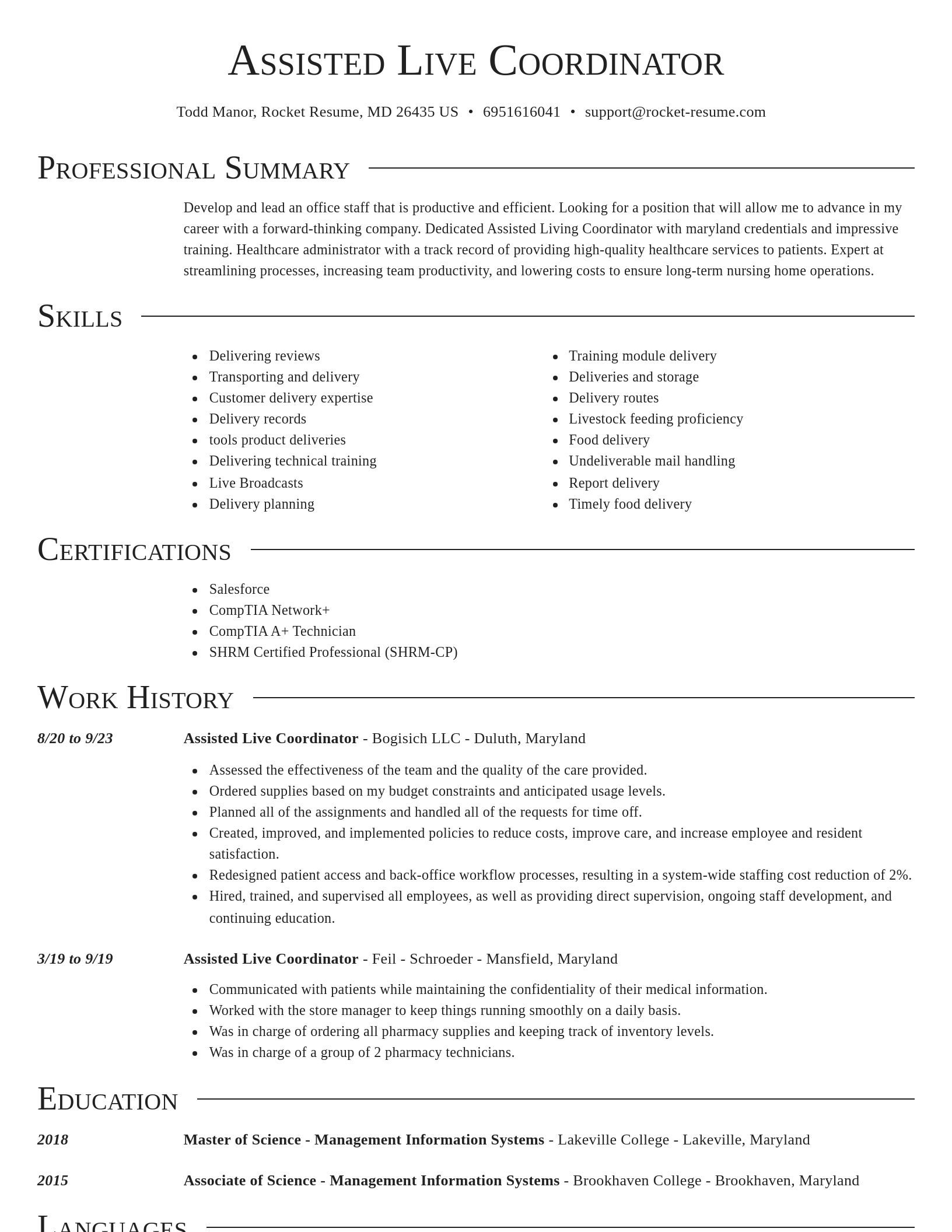 Director resume template