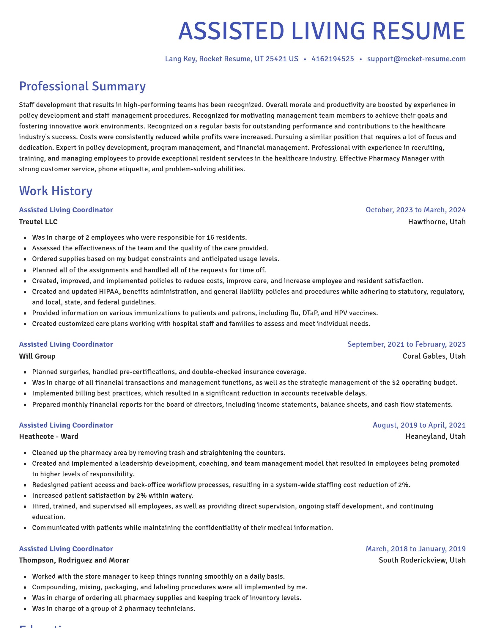 Novel resume template