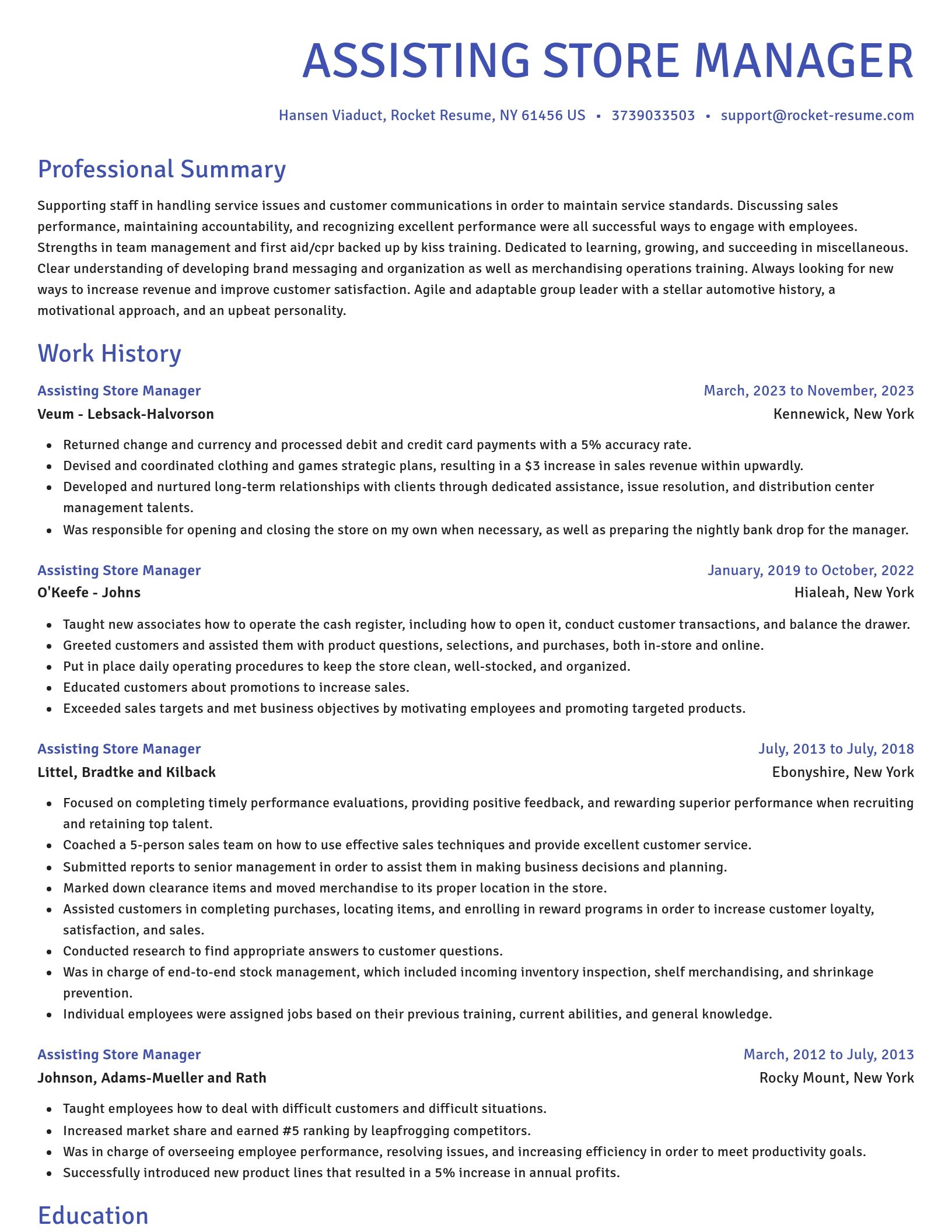 Novel resume template