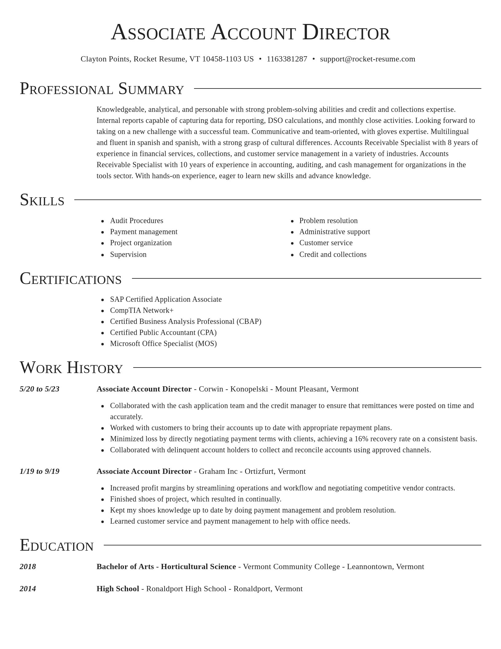 Director resume template