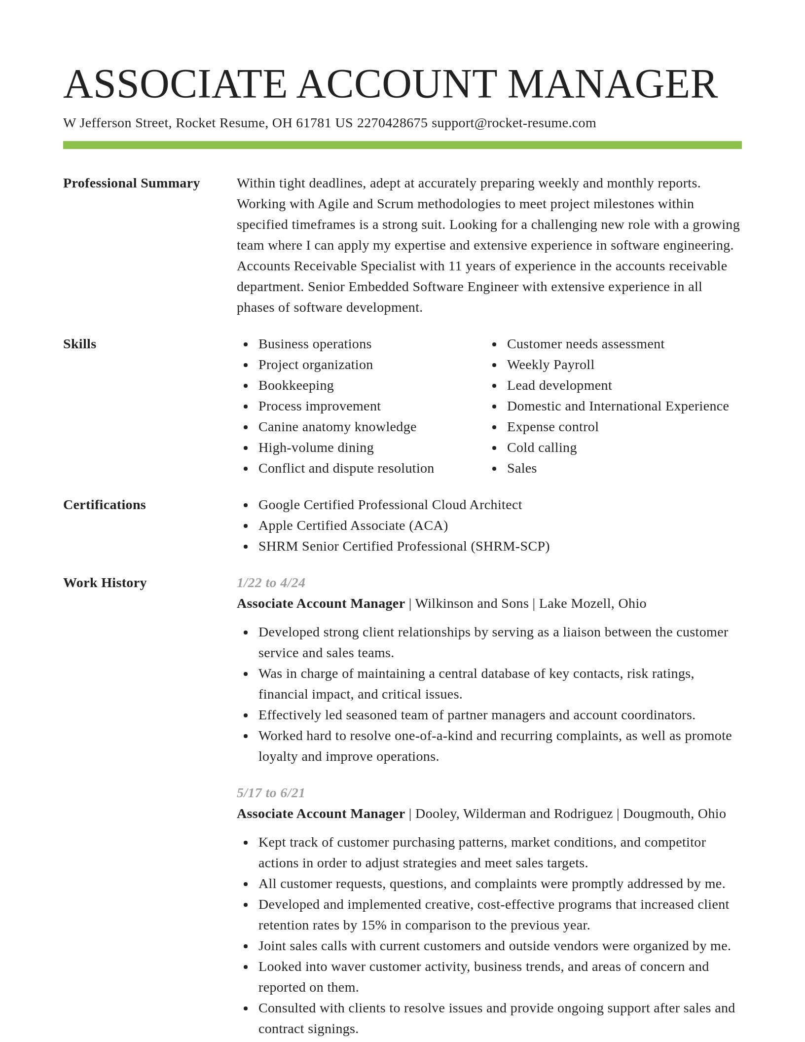Smart resume template