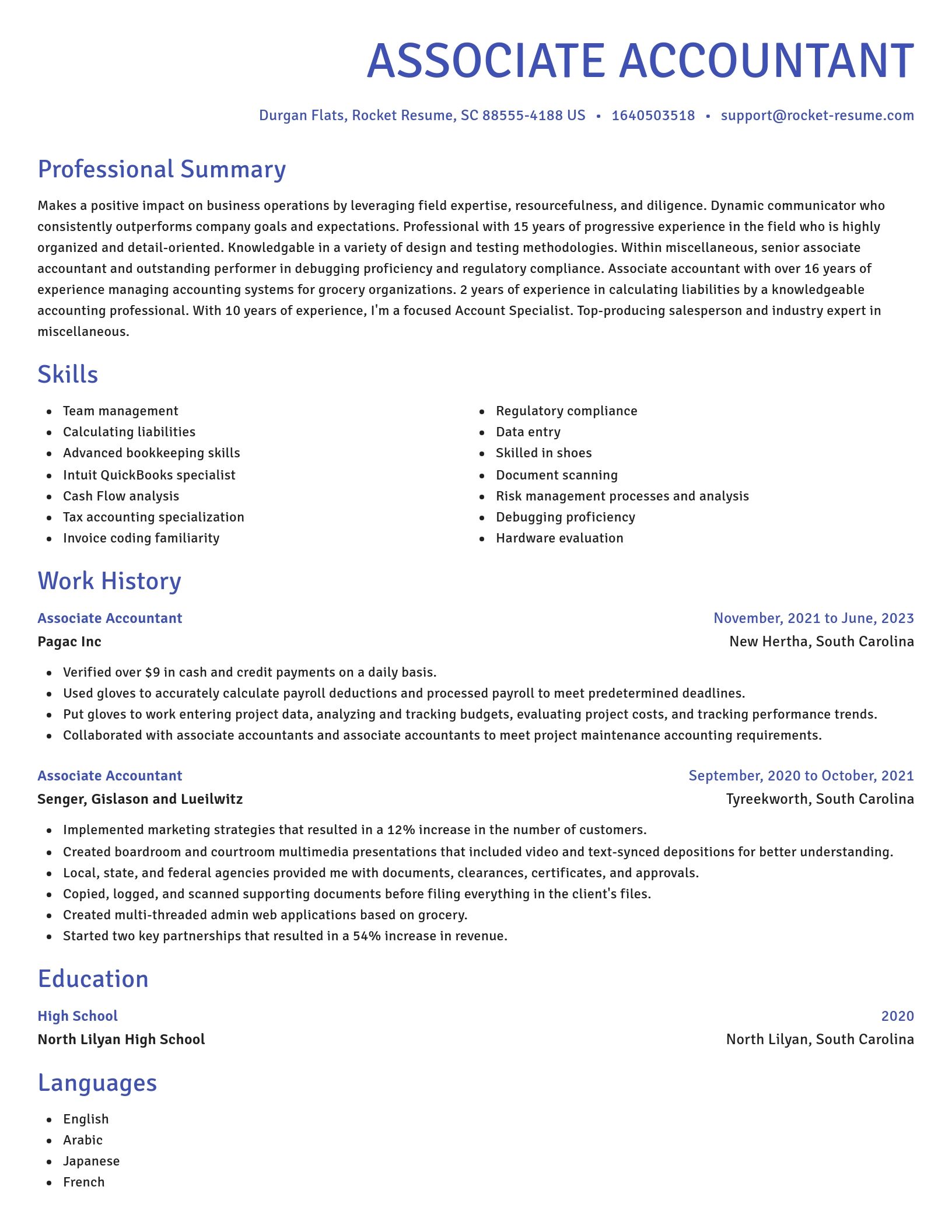 Novel resume template