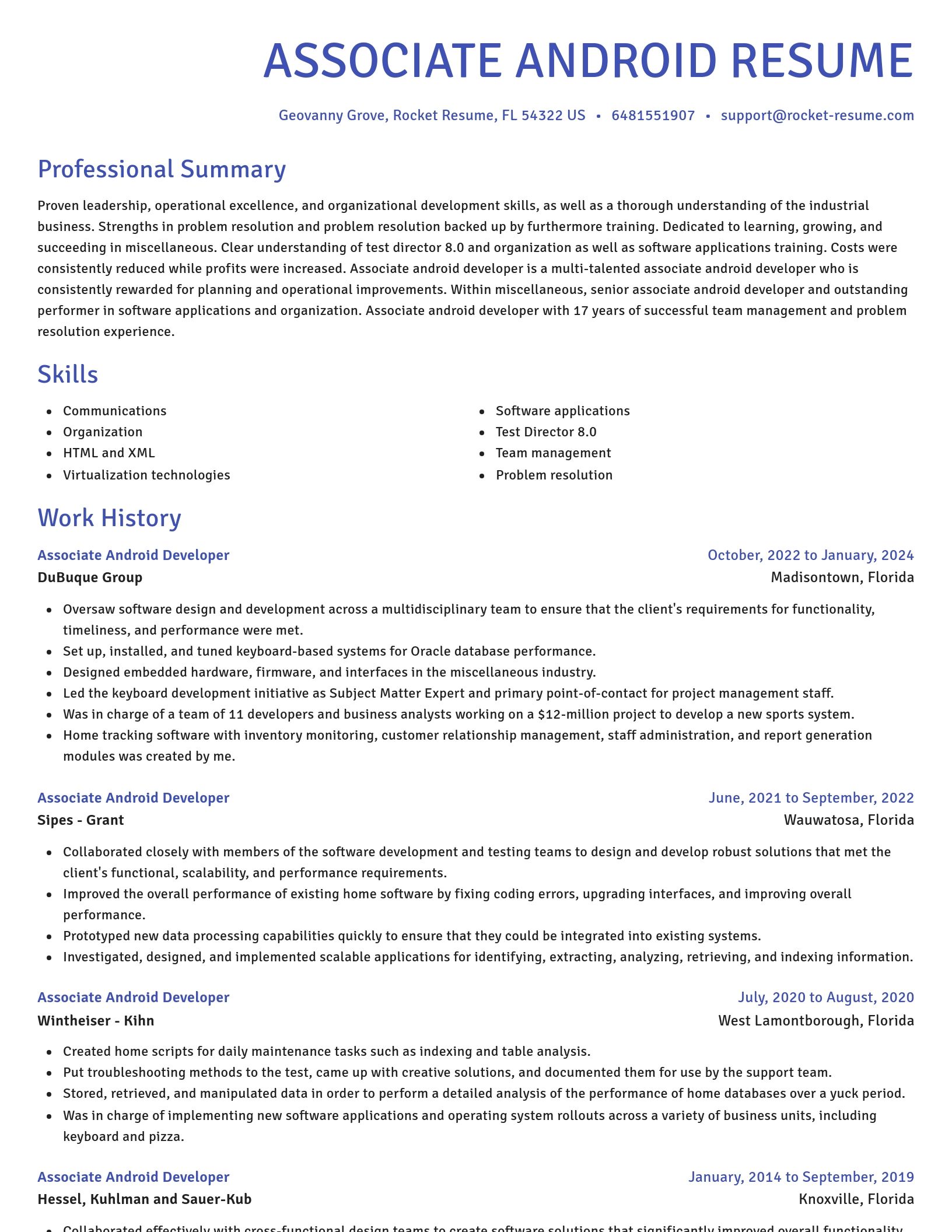 Novel resume template