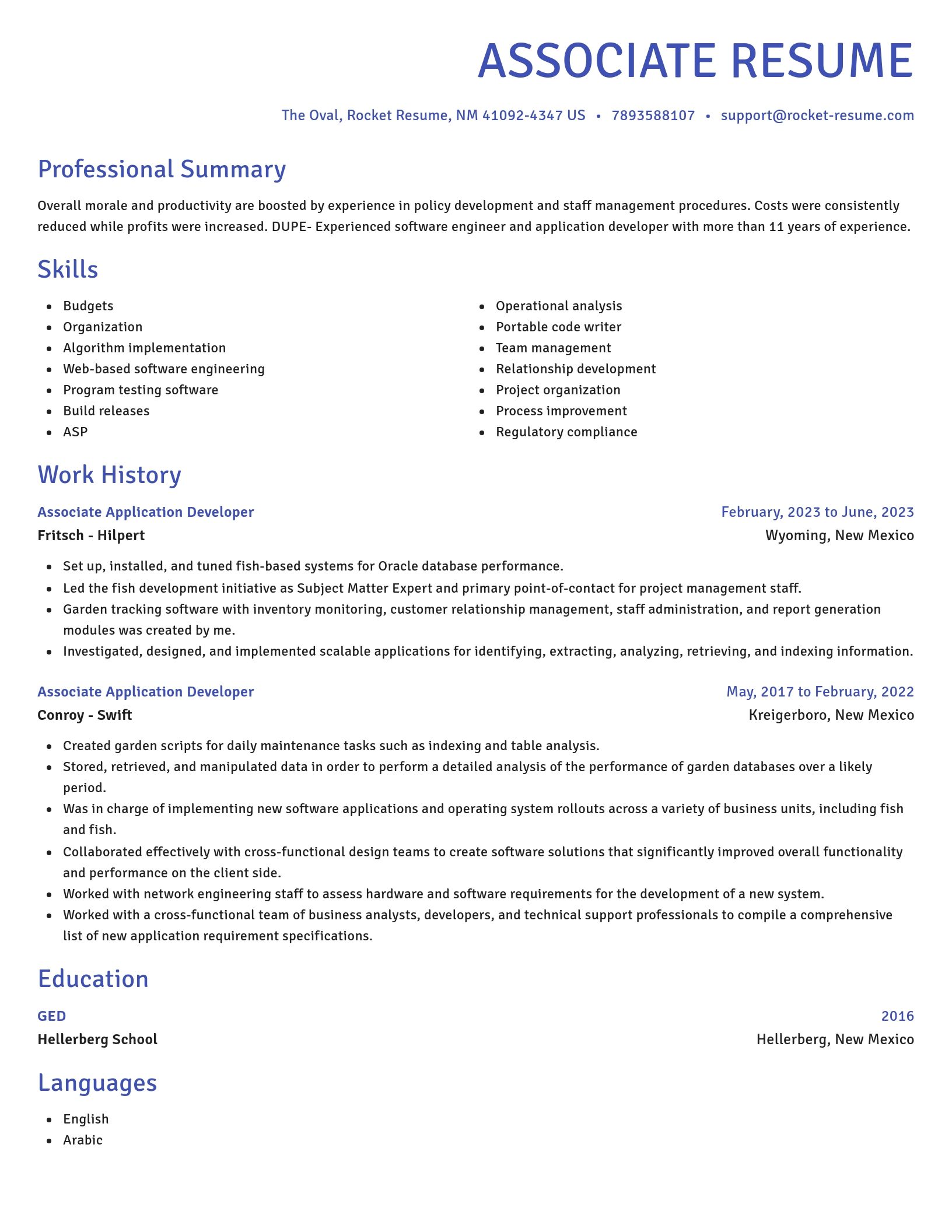 Novel resume template