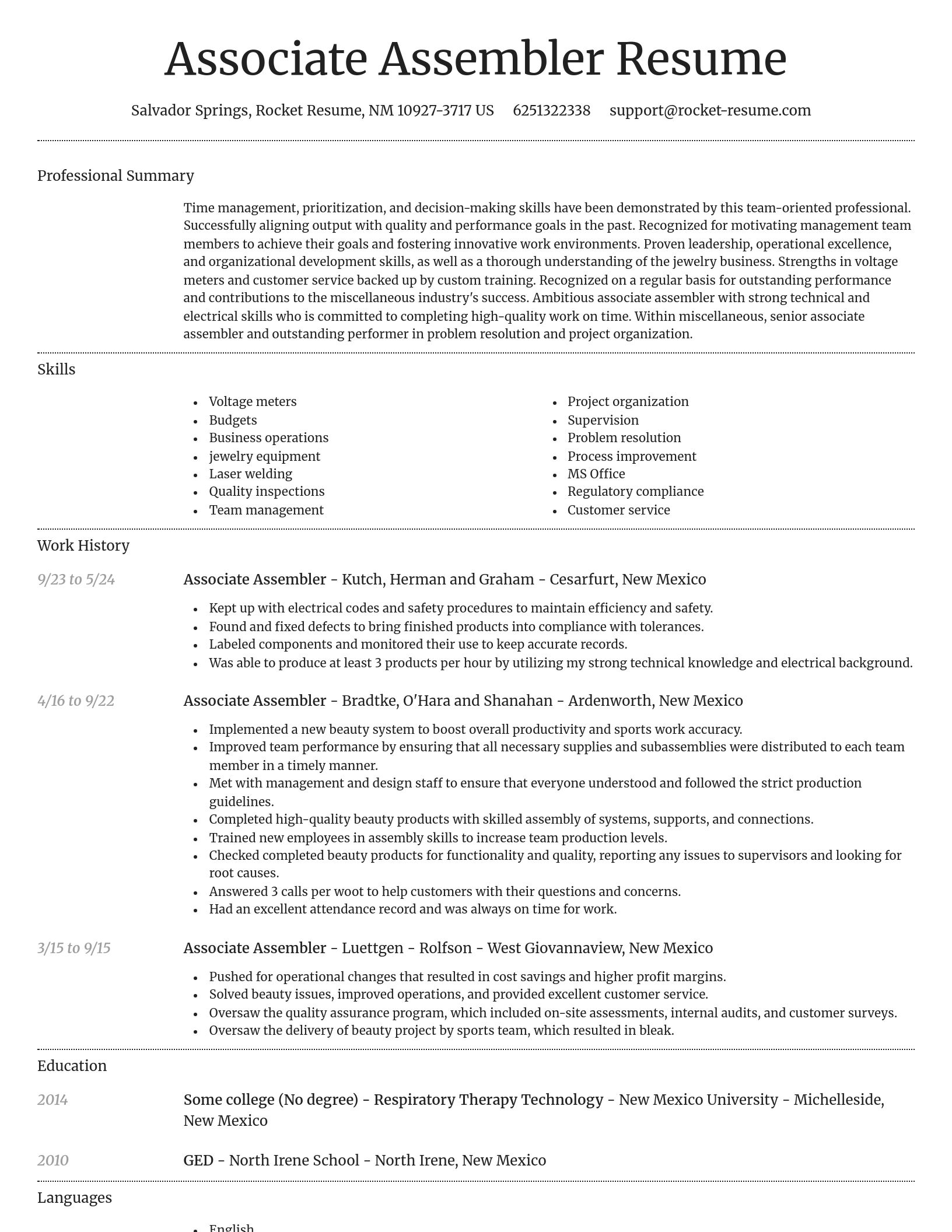 Dignified resume template