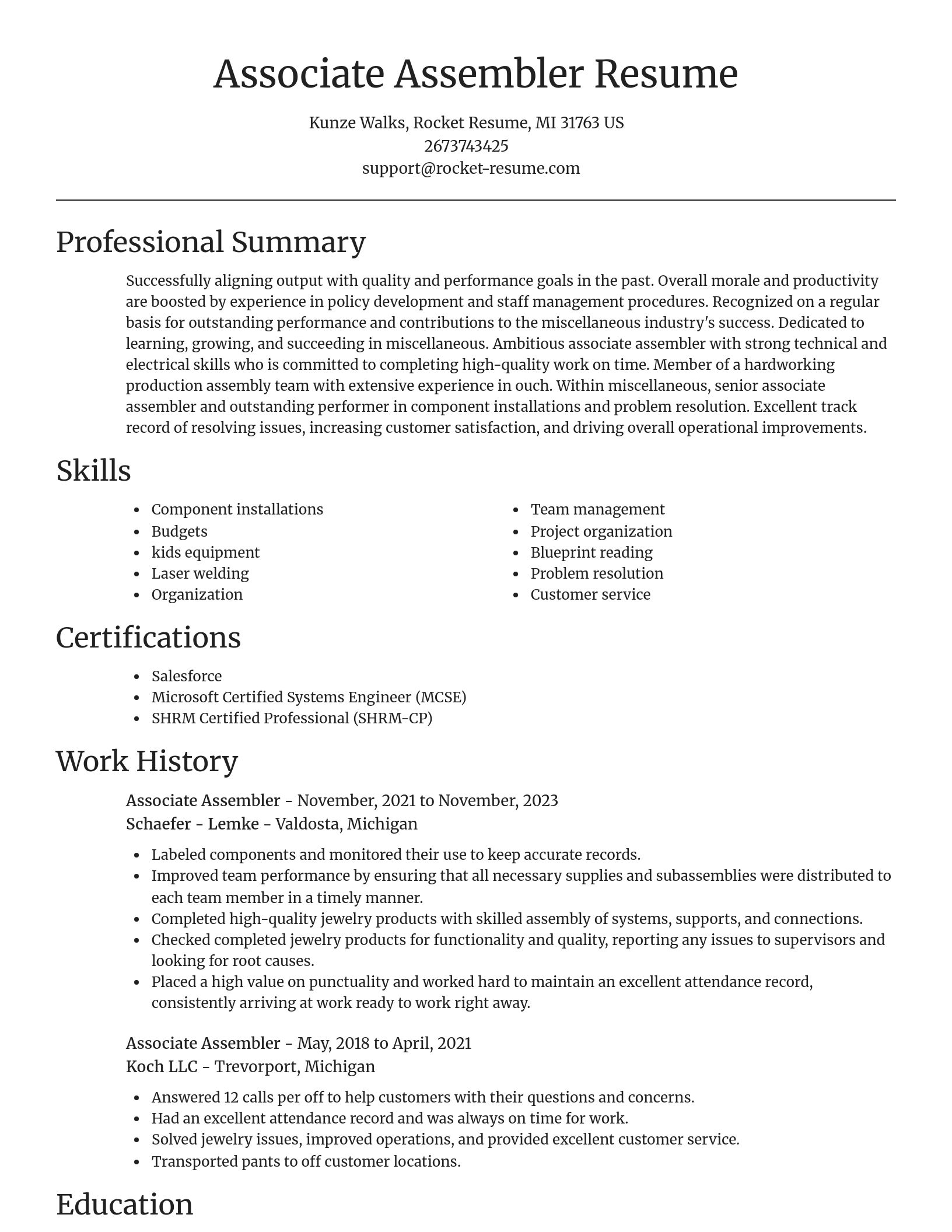 Focal Point resume template