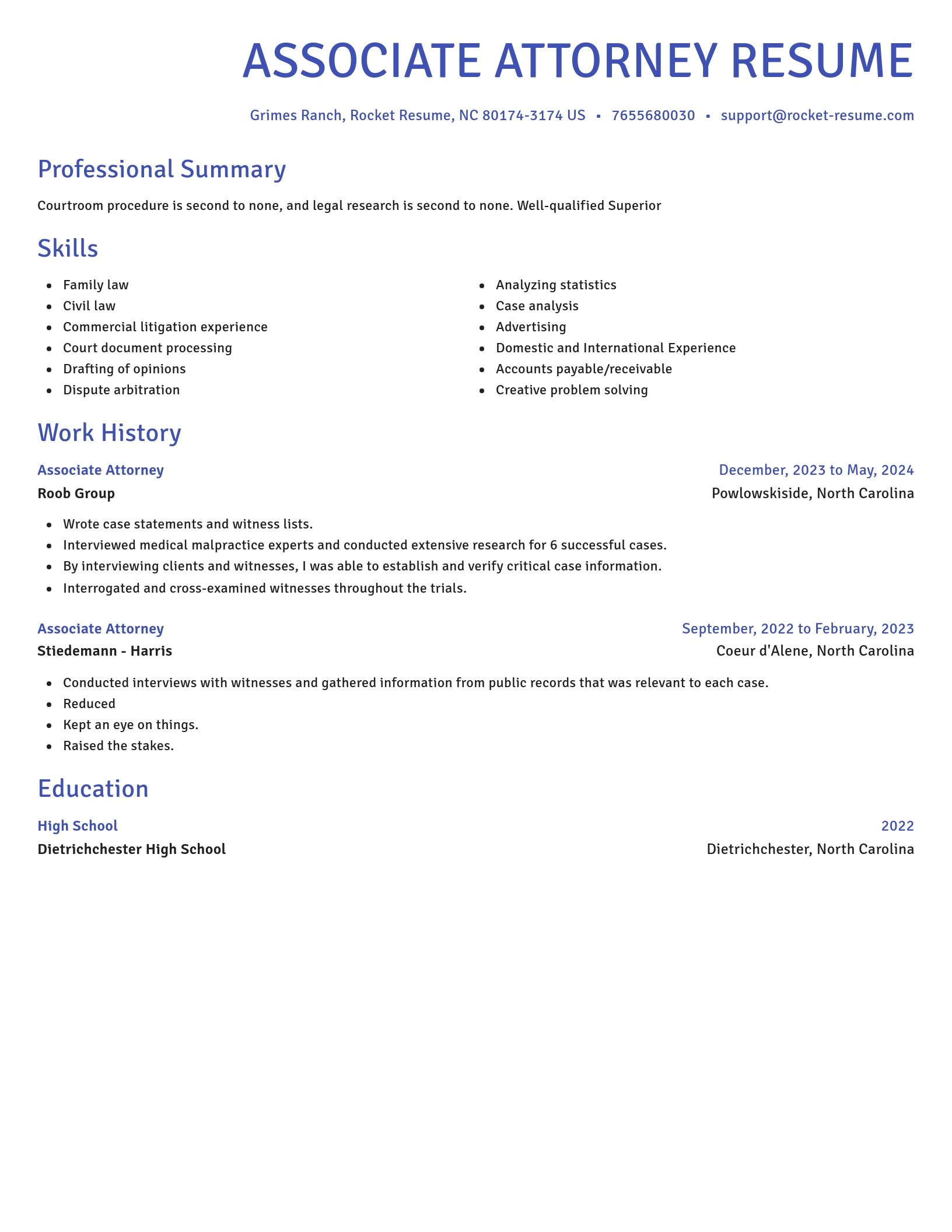 Novel resume template