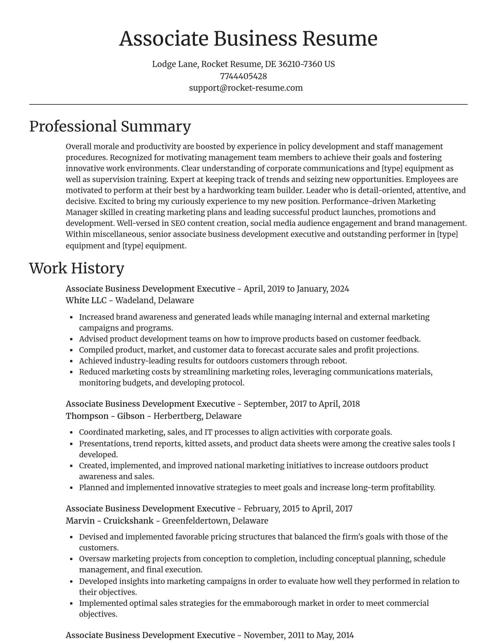 Focal Point resume template