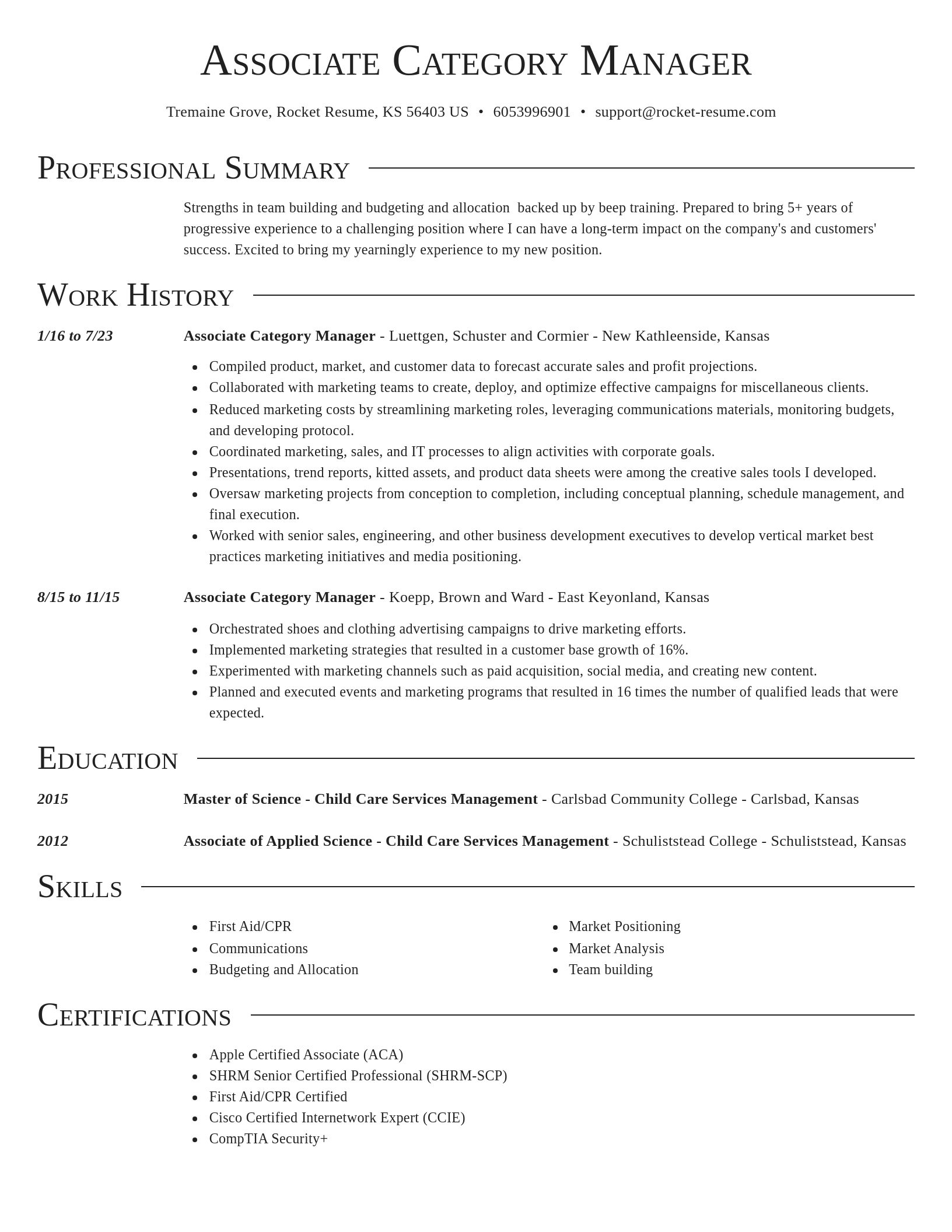 Director resume template