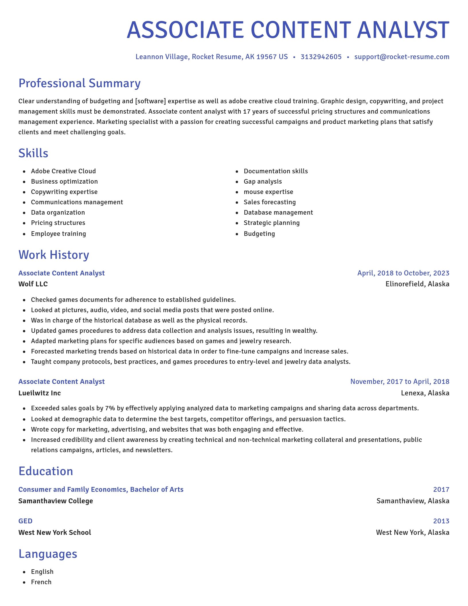 Novel resume template