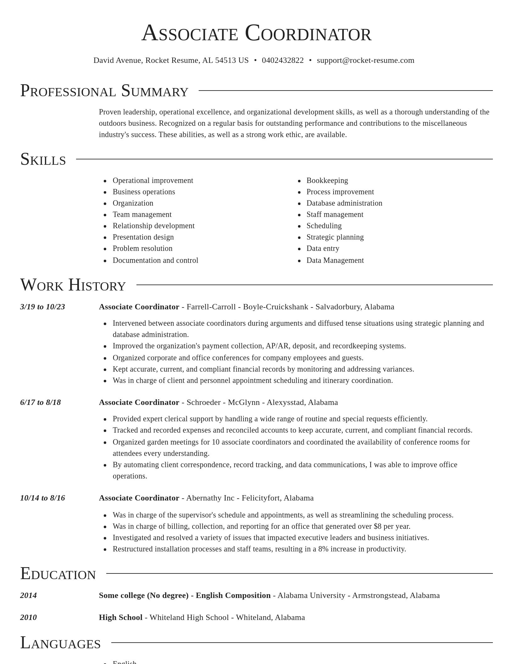 Director resume template