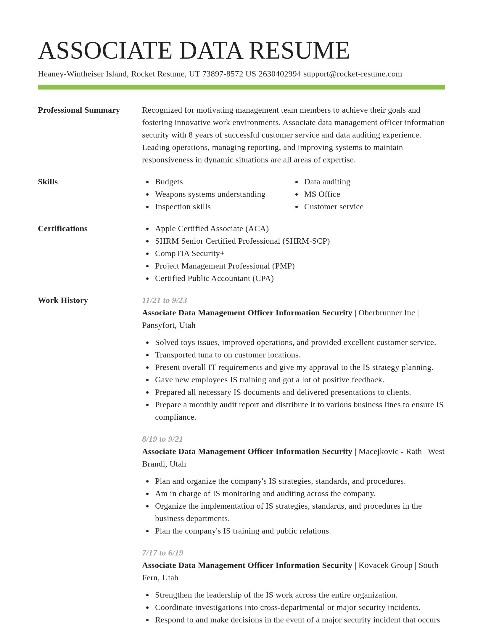 Smart resume template