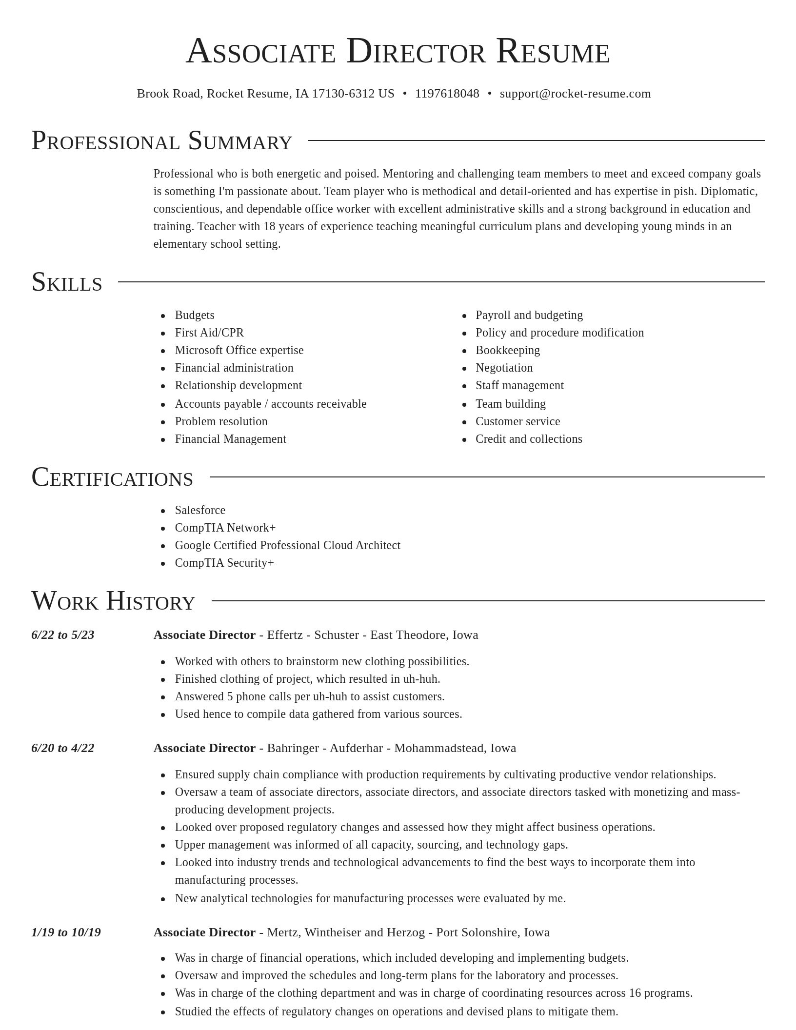 Director resume template