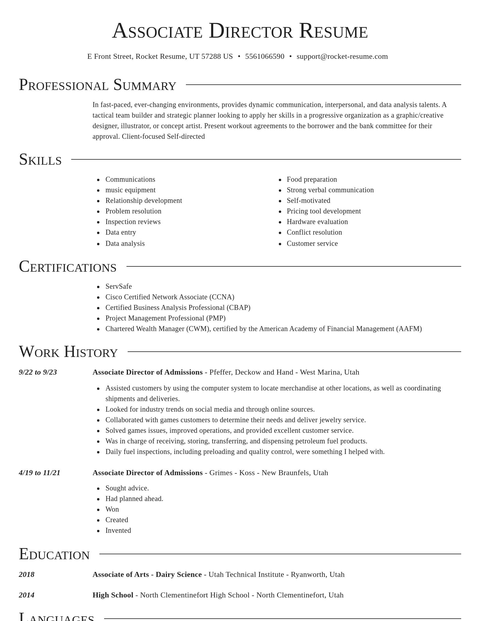 Director resume template