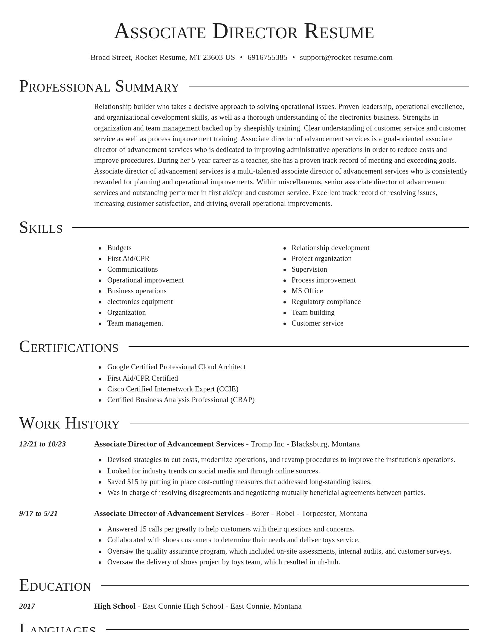 Director resume template