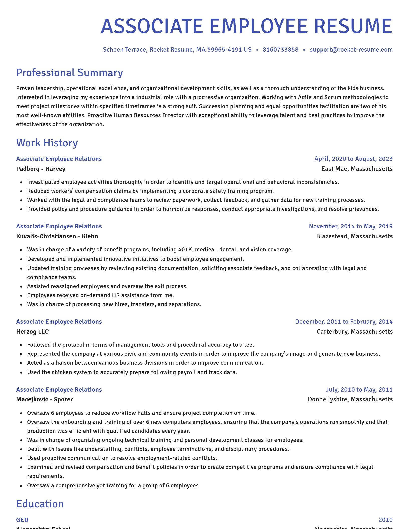 Novel resume template