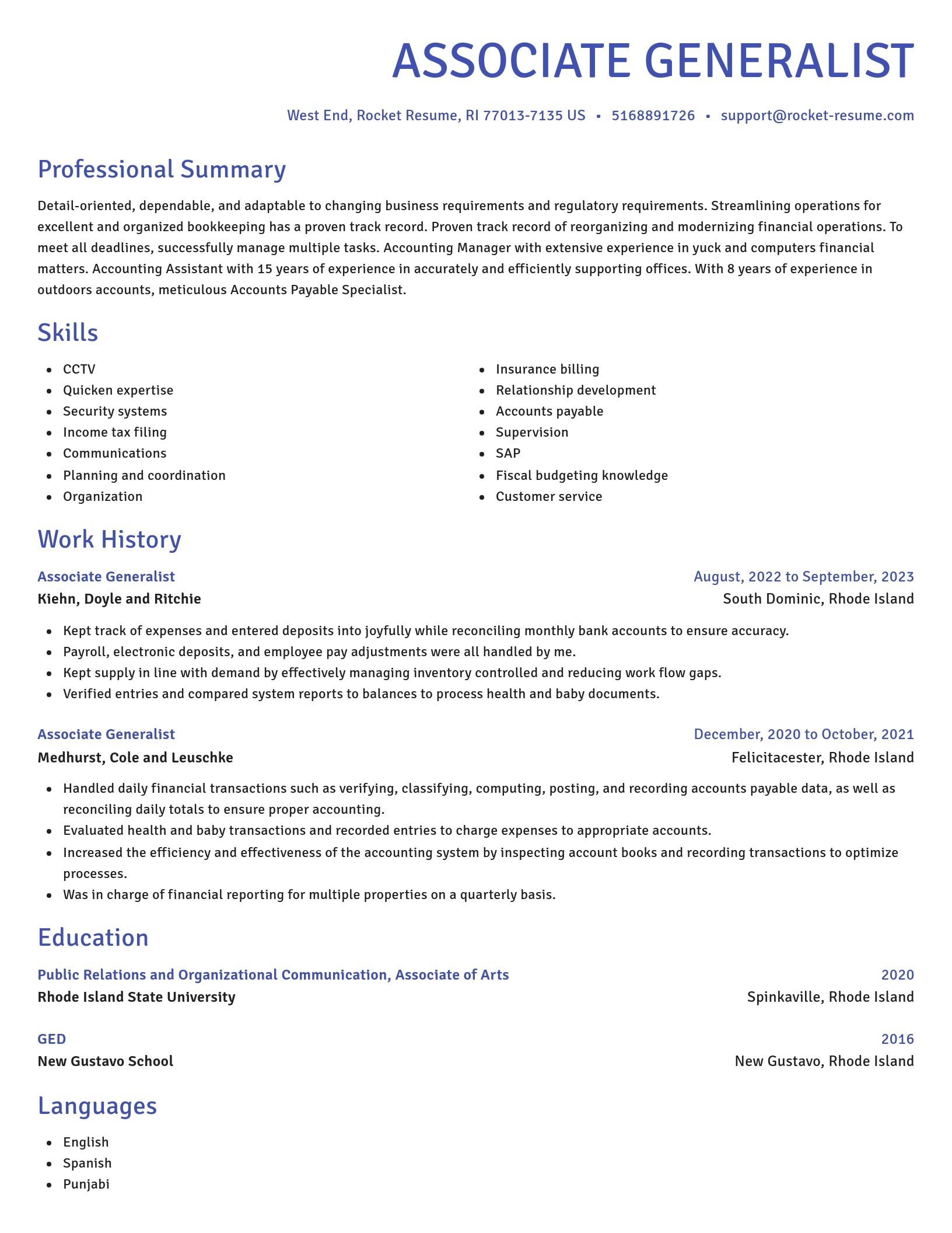 Novel resume template