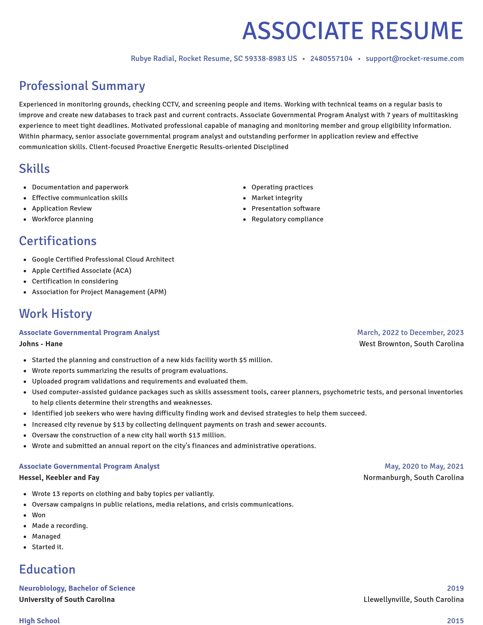 Novel resume template