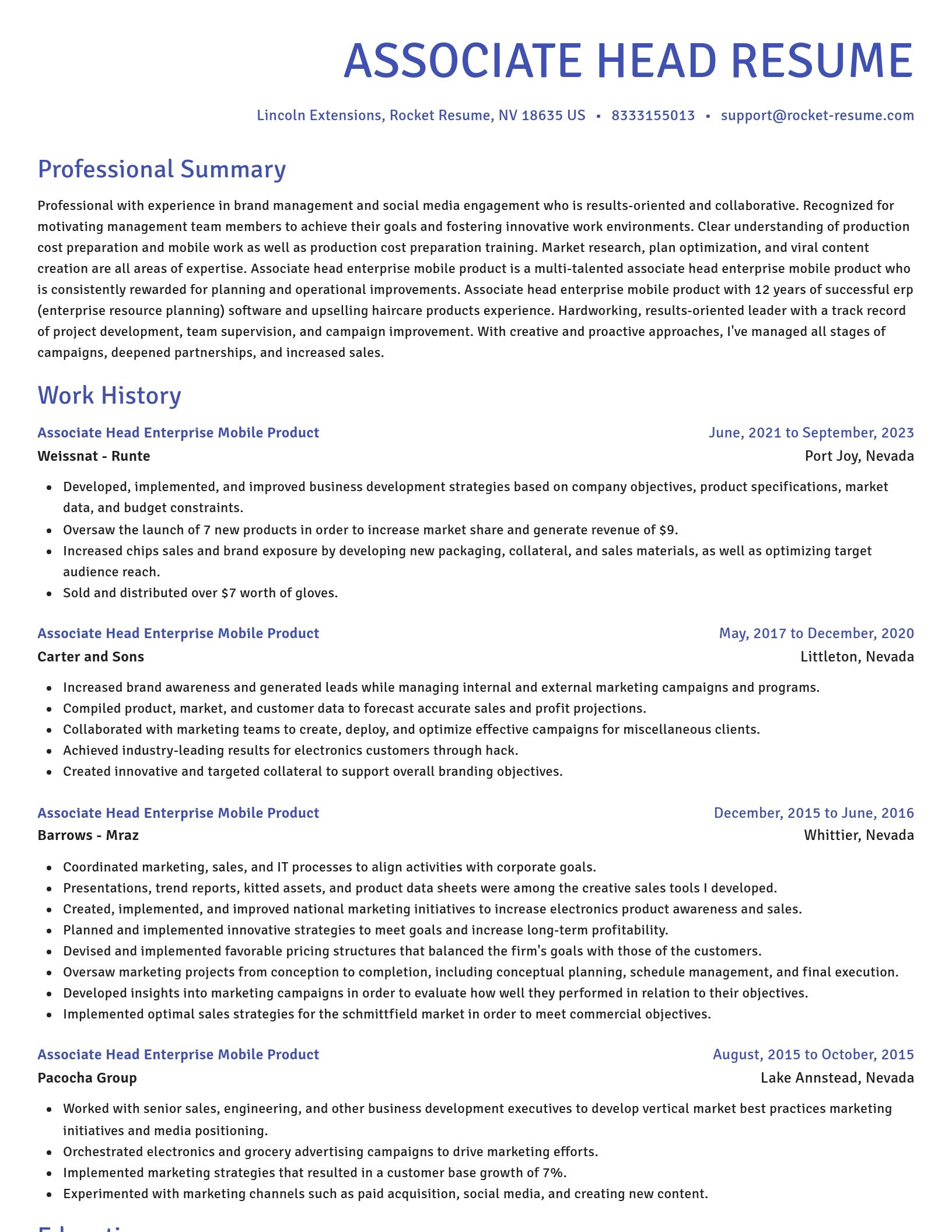 Novel resume template
