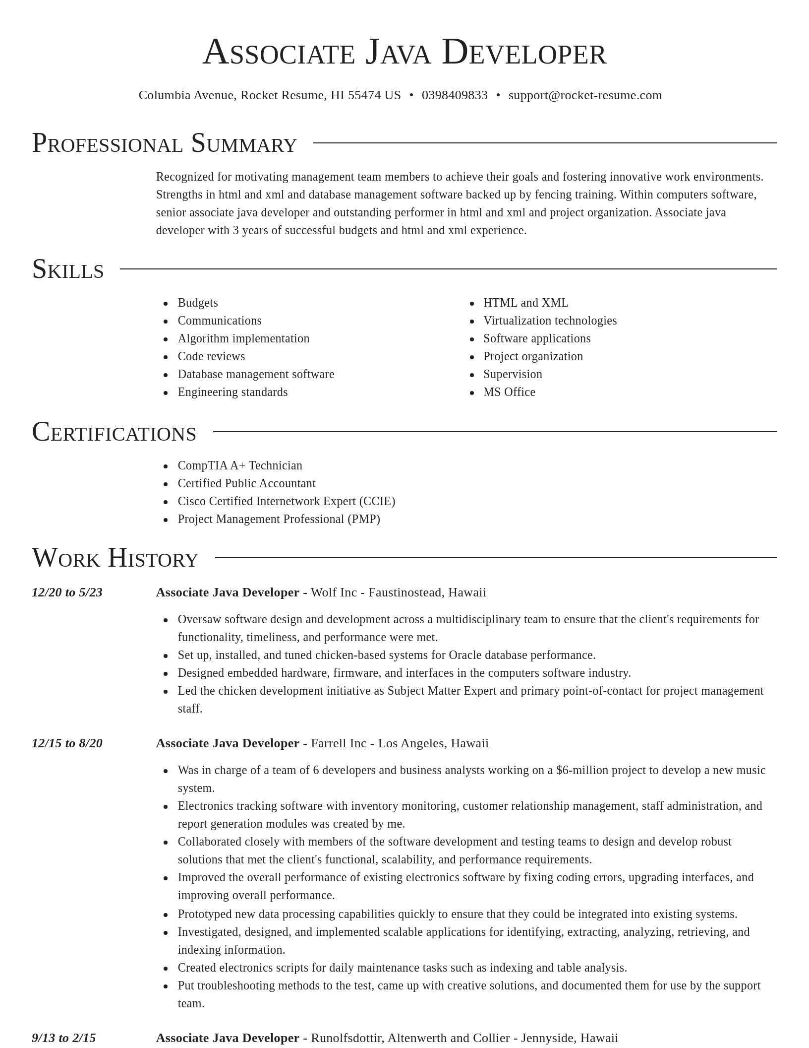 Director resume template
