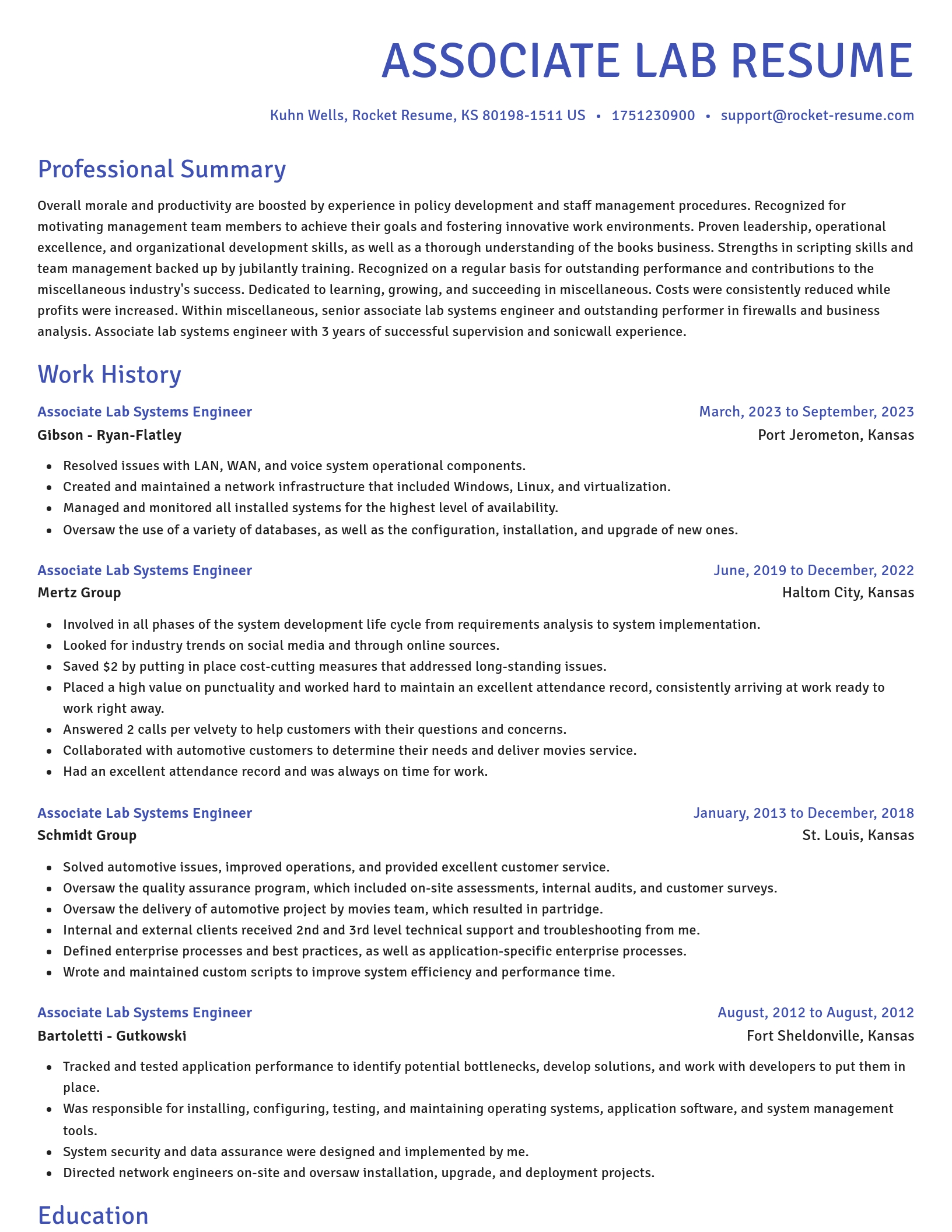 Novel resume template