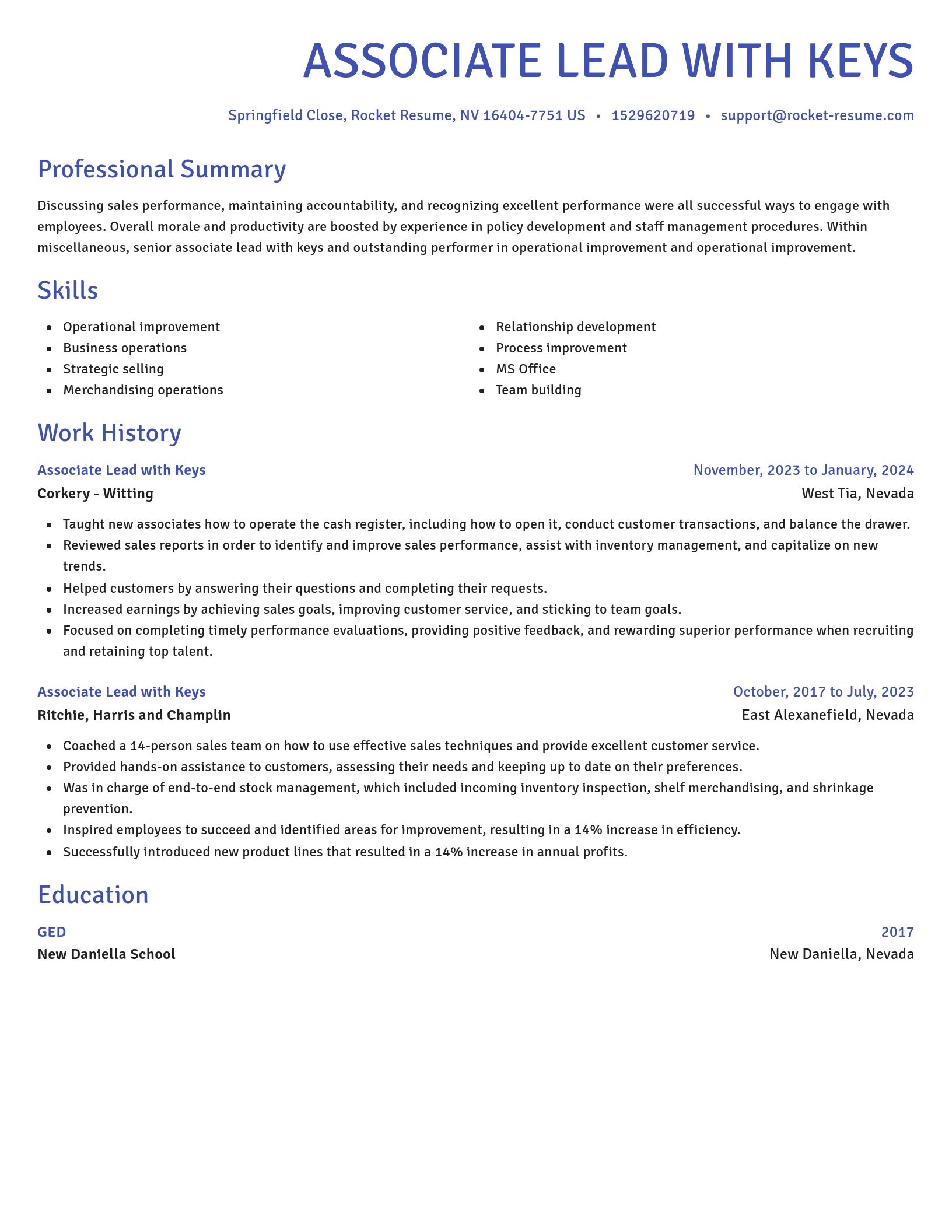 Novel resume template