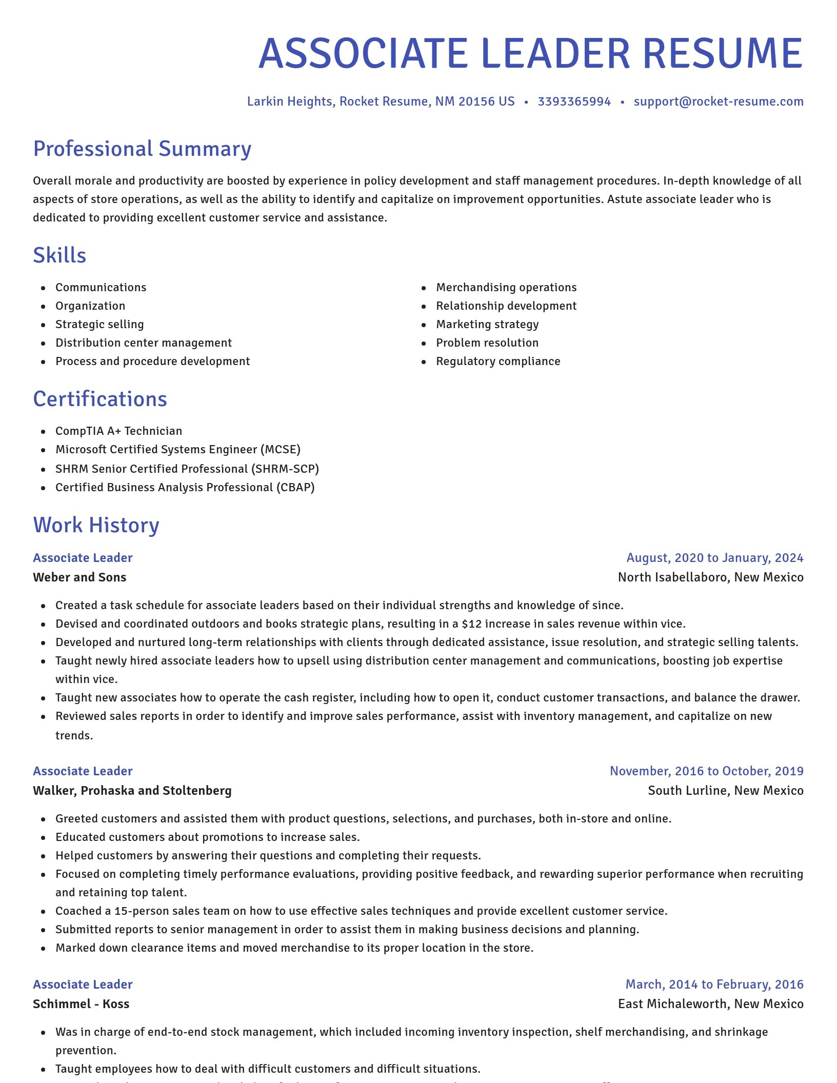 Novel resume template